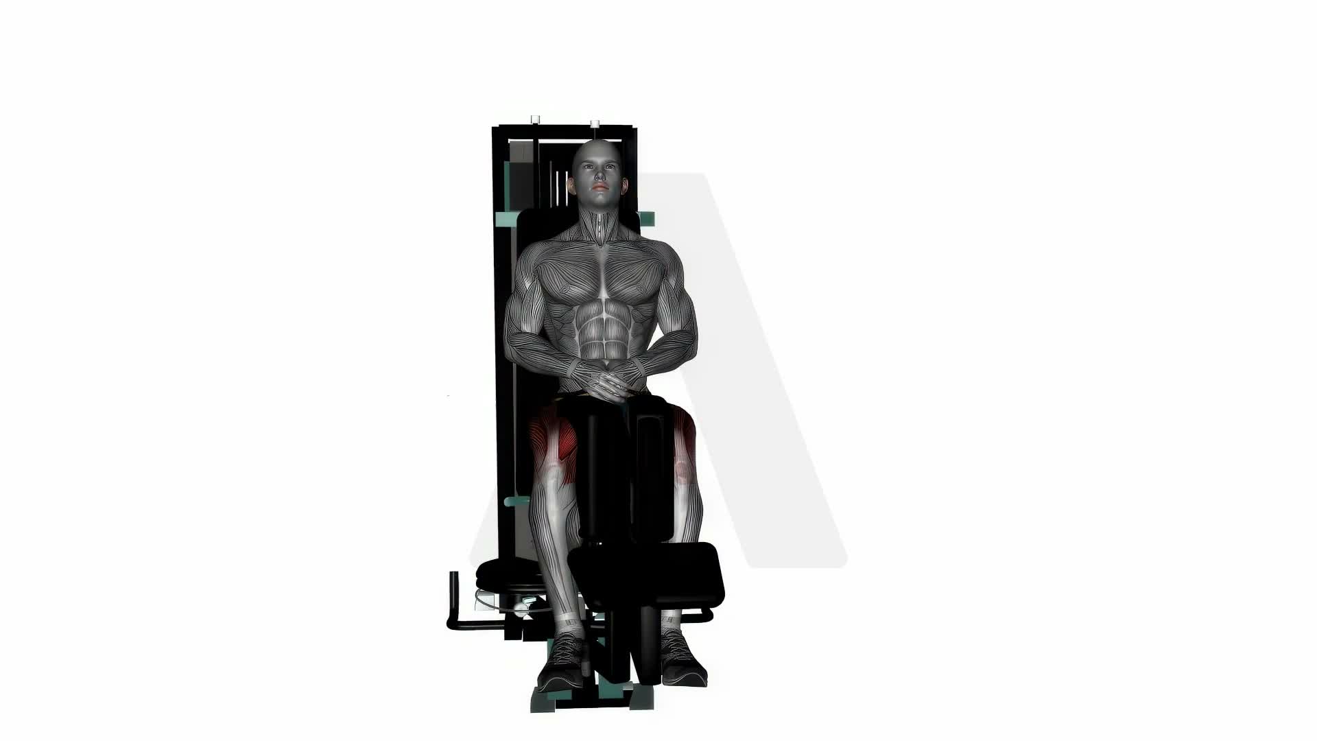 Seated Machine Hip Adductor exercise demonstration