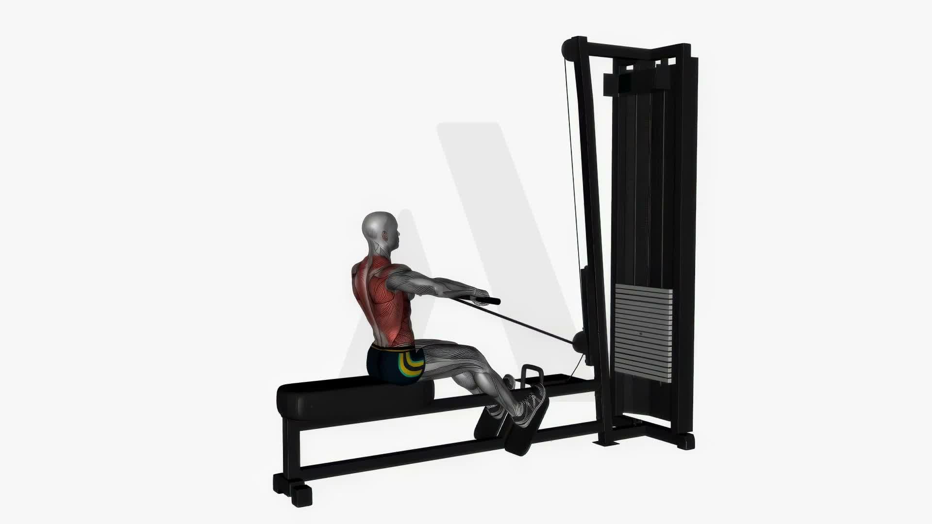 Seated Normal Grip Row Machine exercise demonstration