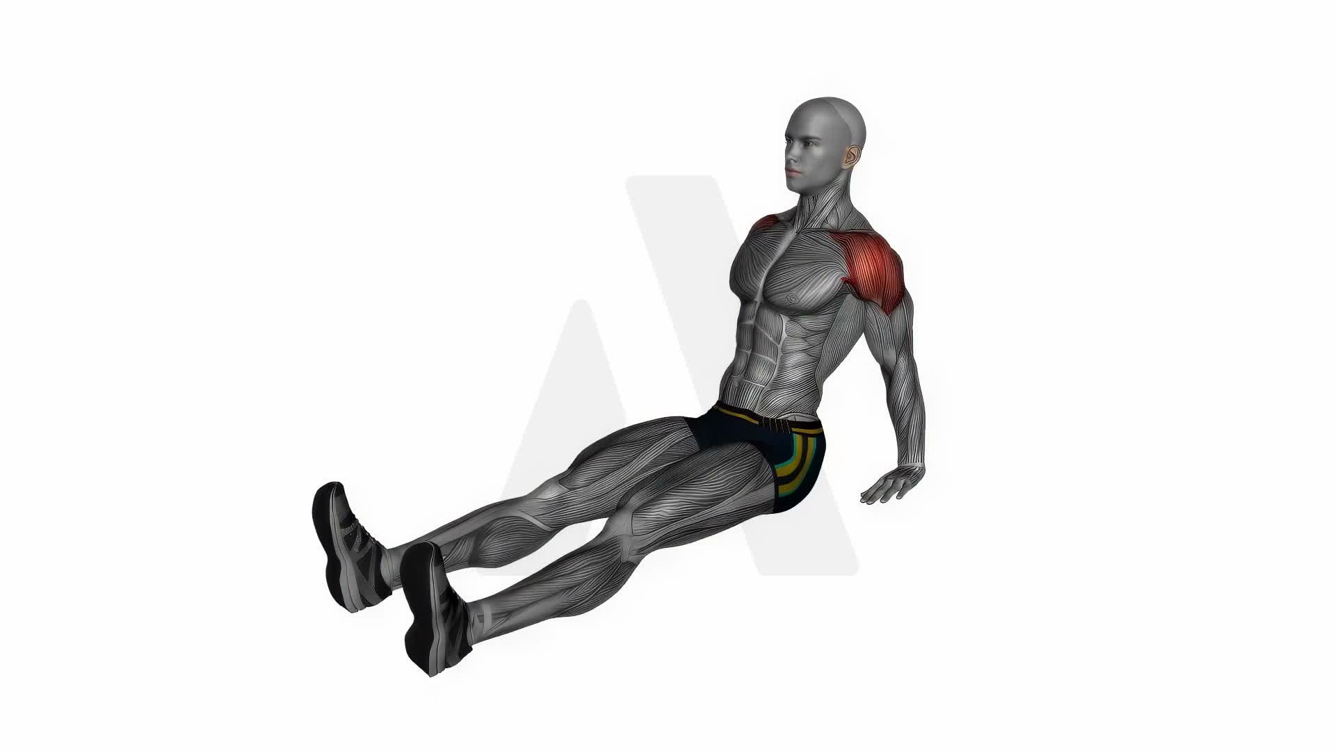 Seated Shoulder Flexor Depressor Retractor Stretch exercise demonstration