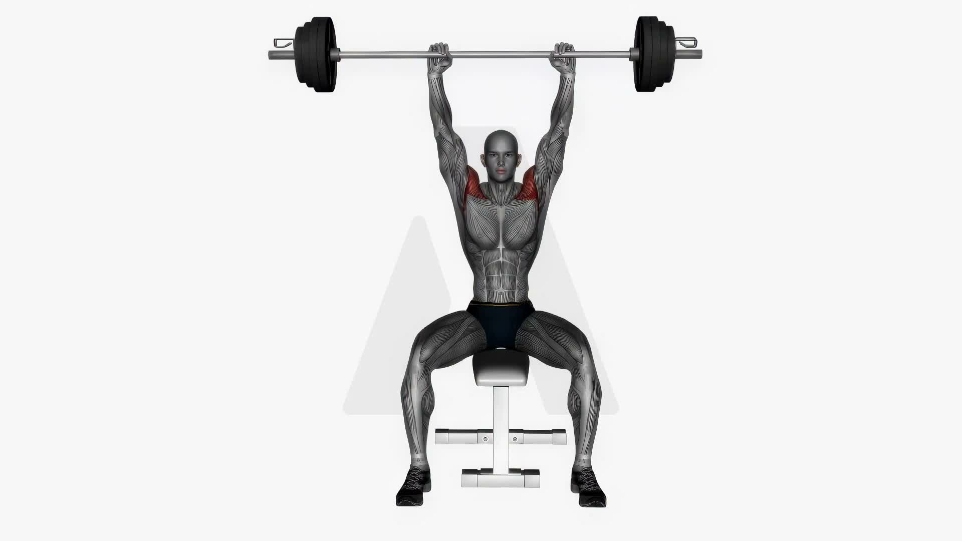 Seated Shoulder Press Barbell exercise demonstration