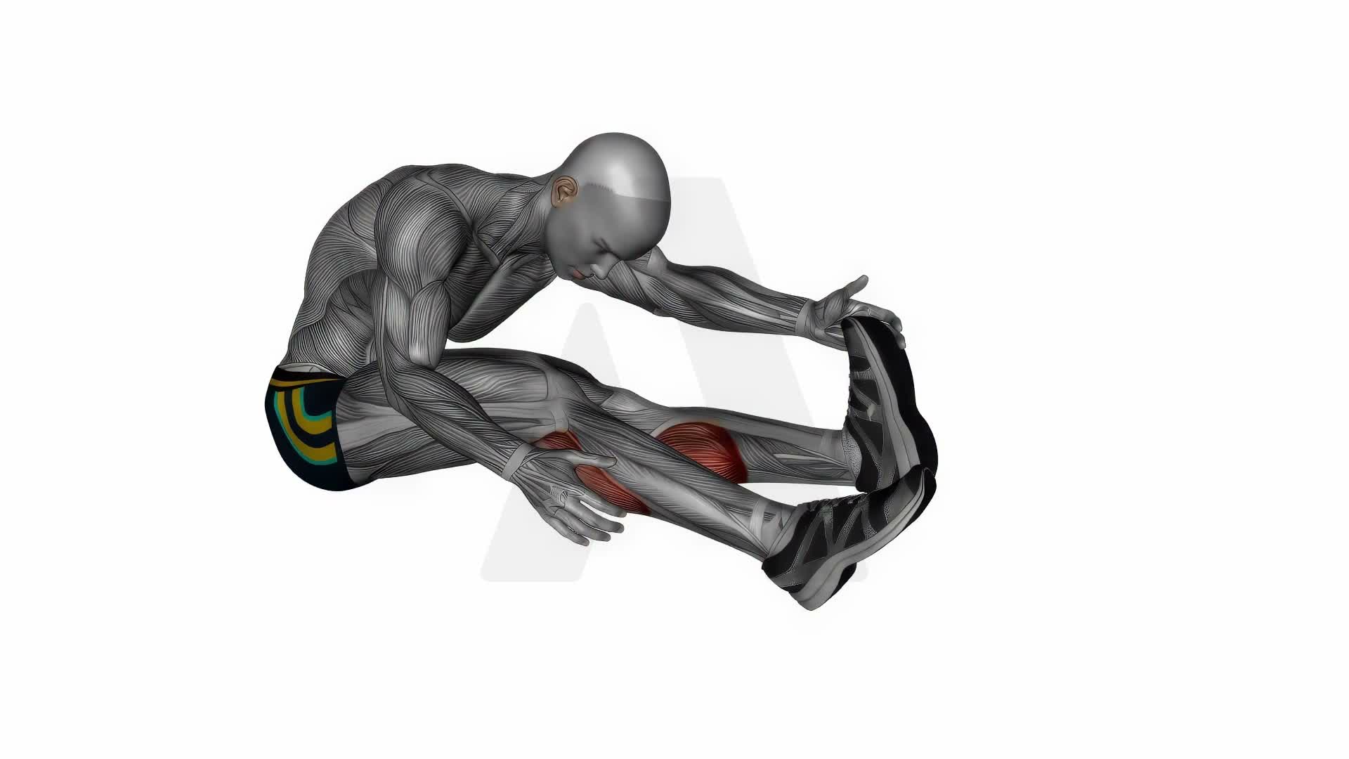 Seated Straight Leg Calf Stretch exercise demonstration