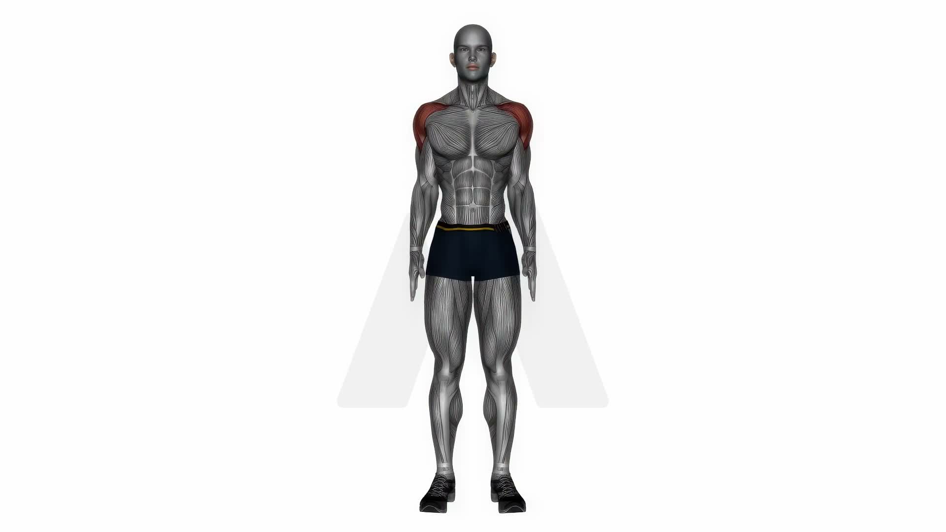 Shoulder Circle exercise demonstration