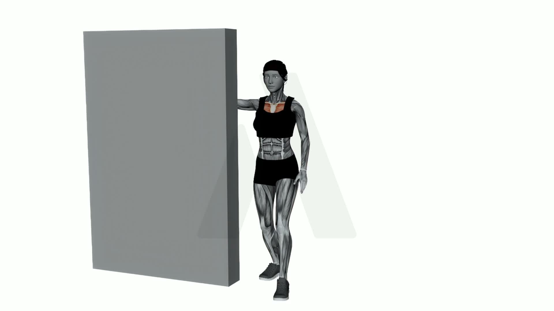 Side Chest Stretch On Wall exercise demonstration