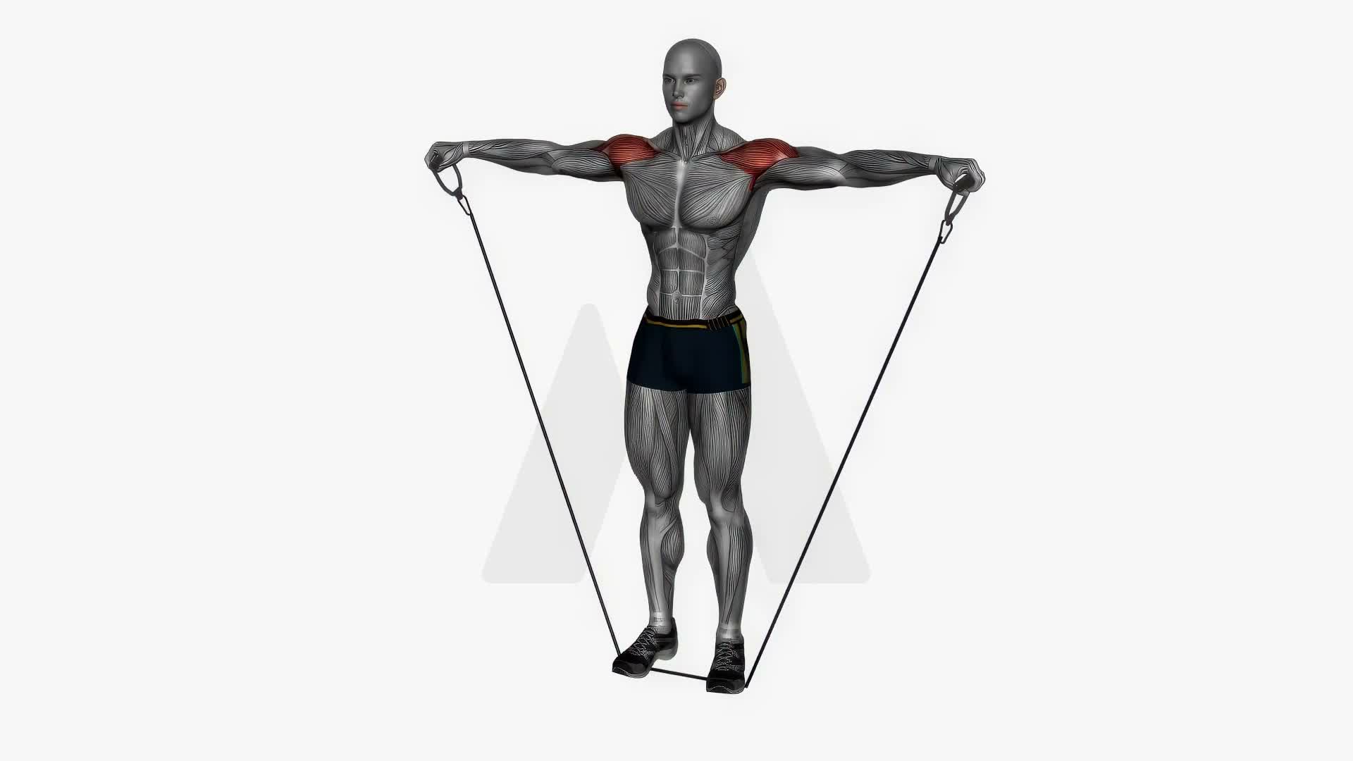 Side Lateral Raise Resistance Band exercise demonstration