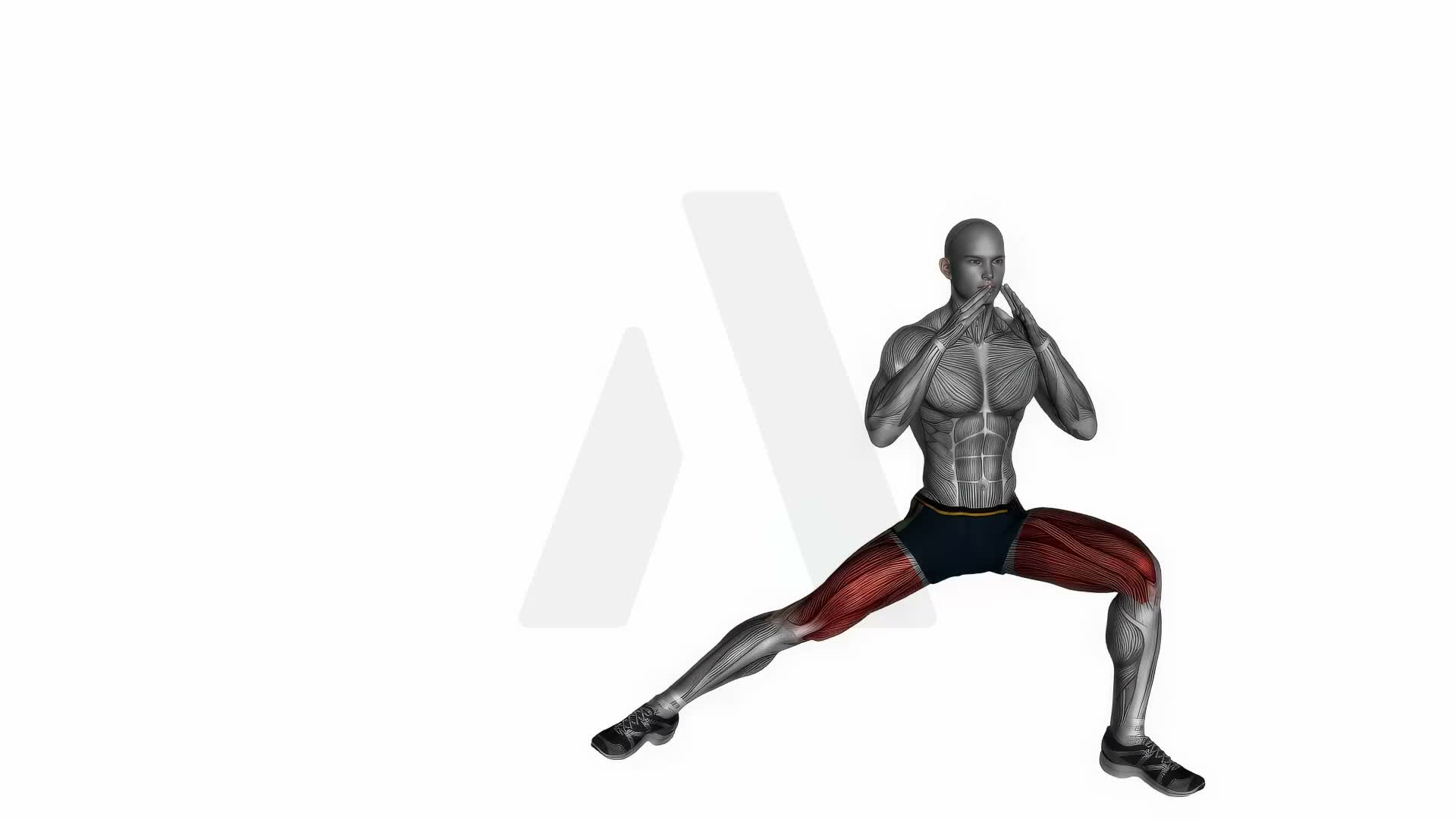 Side Lunges Bodyweight exercise demonstration