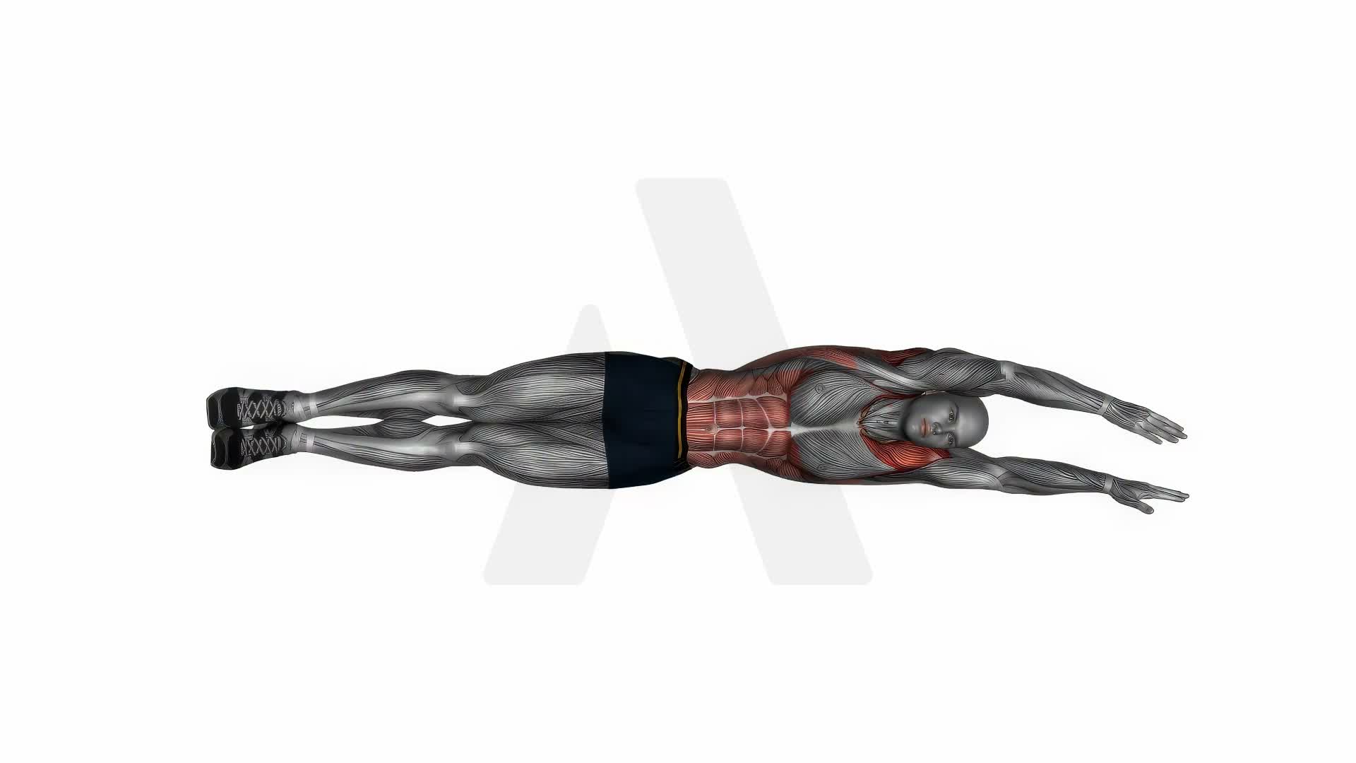 Side Lying Floor Stretch exercise demonstration