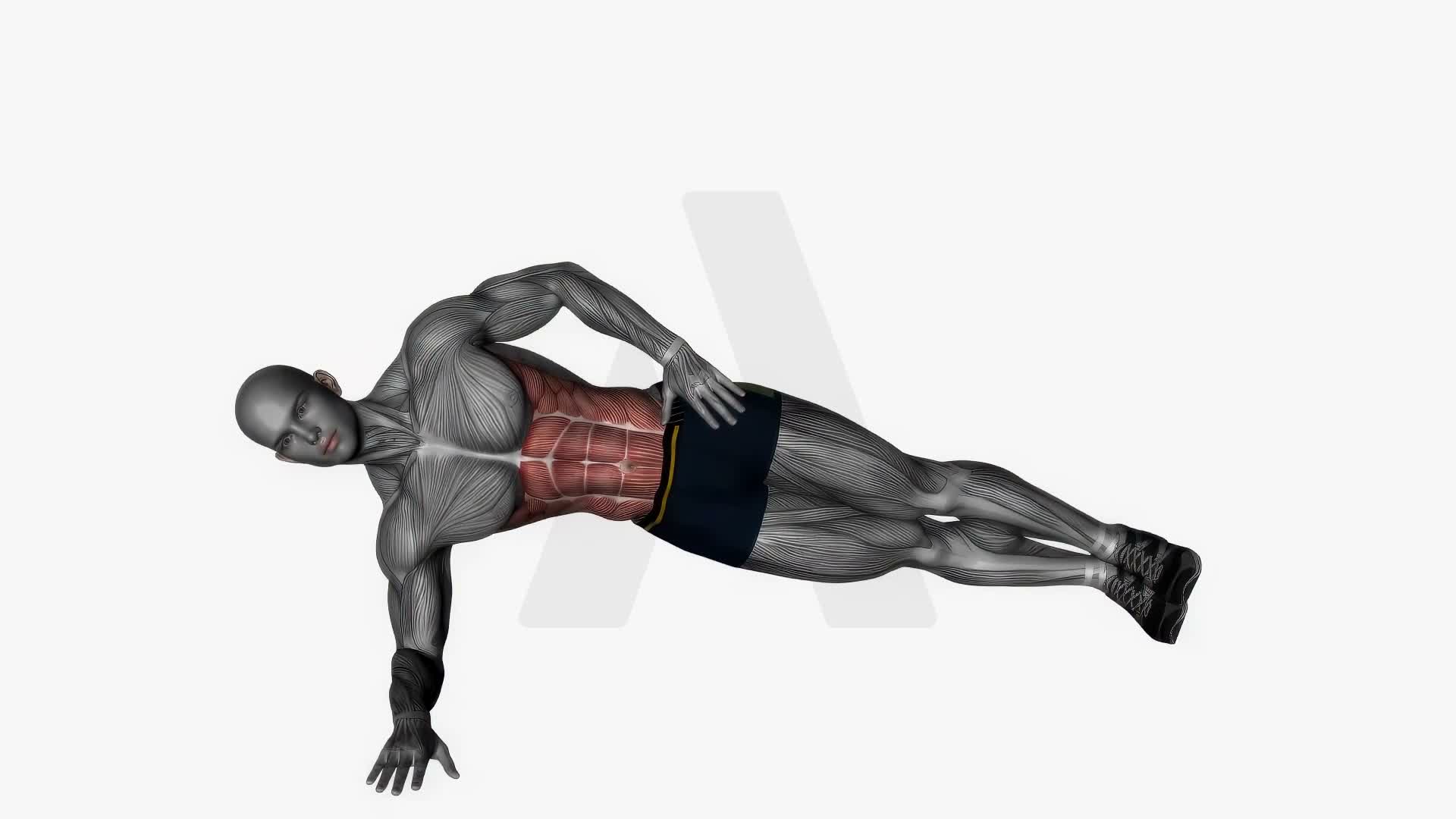 Side Plank Oblique Crunch exercise demonstration