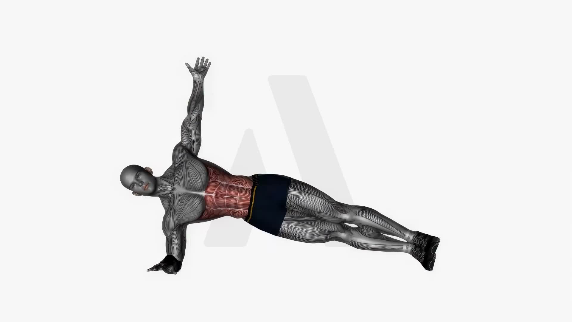 Side Plank With Hip Lift exercise demonstration