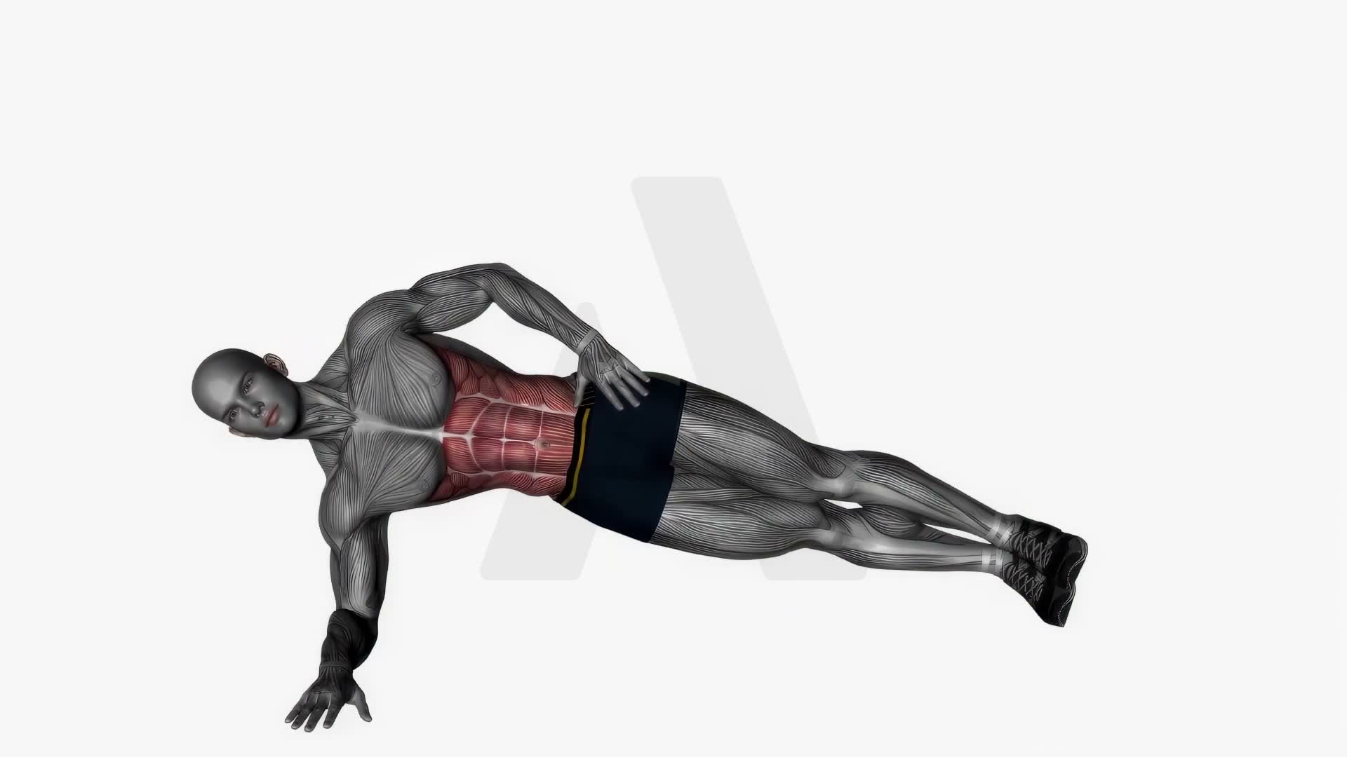 Side Plank exercise demonstration