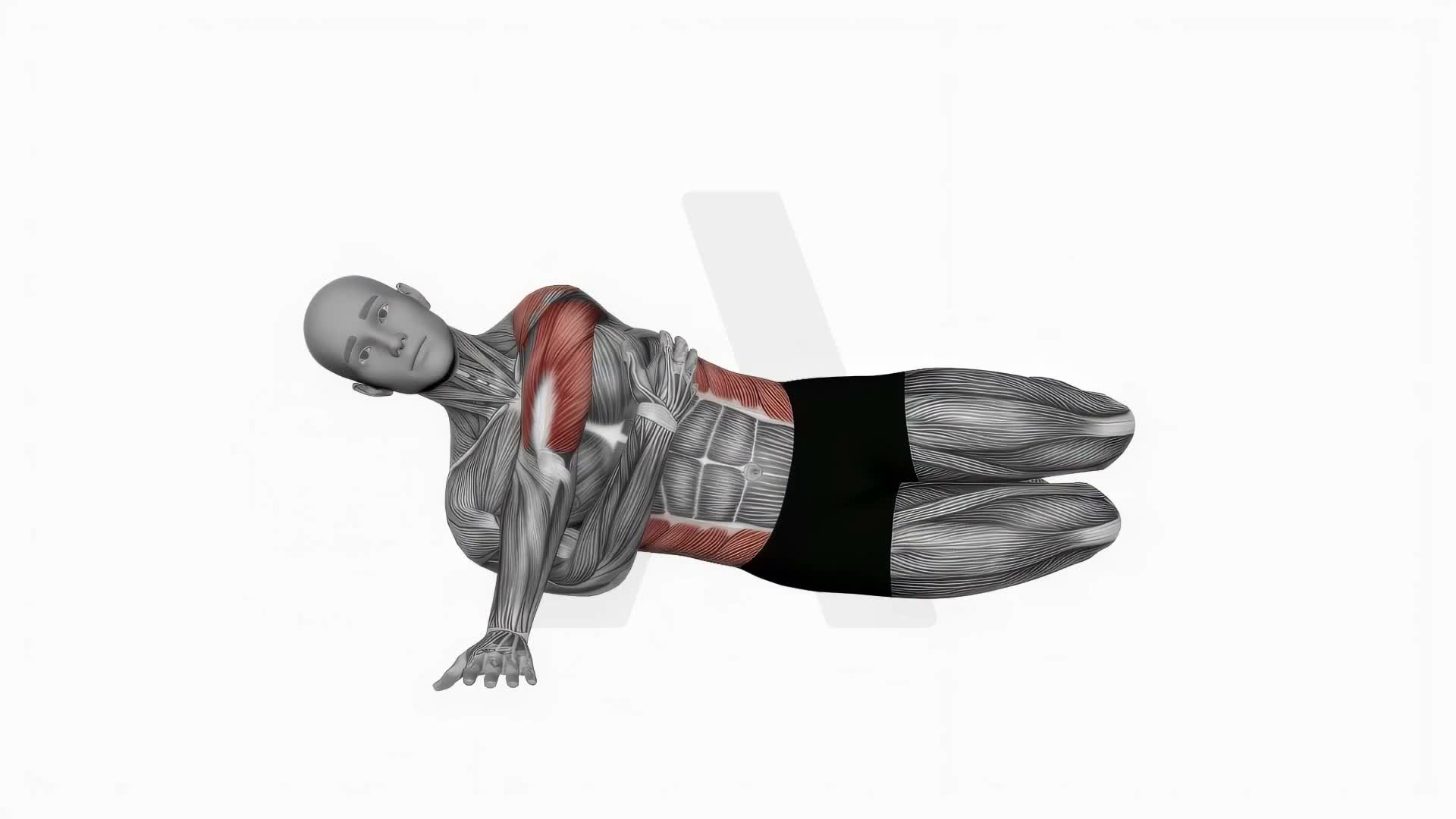 Side Push Up exercise demonstration