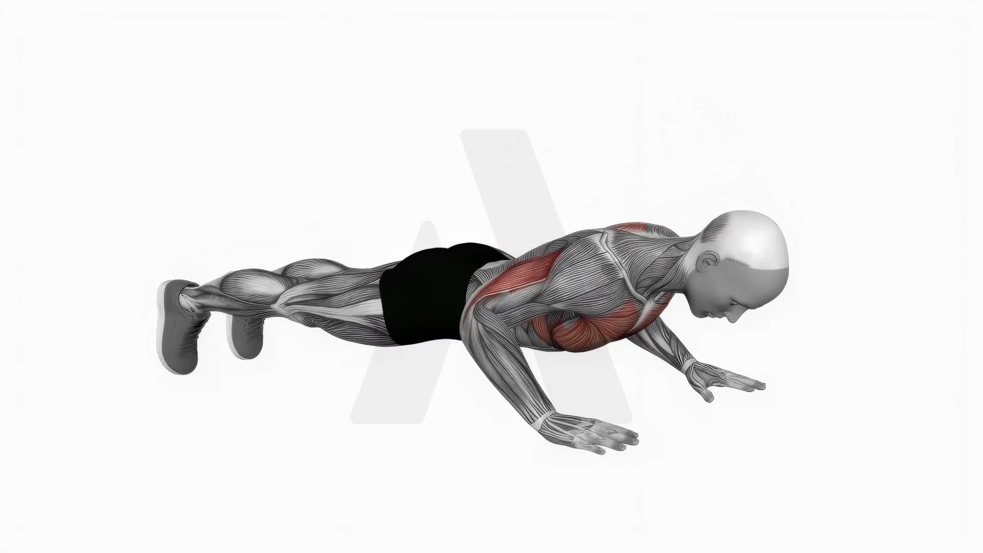 Side To Side Push Up exercise demonstration