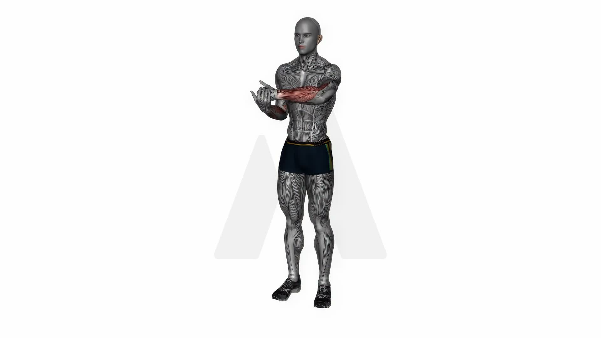 Side Wrist Pull Stretch exercise demonstration