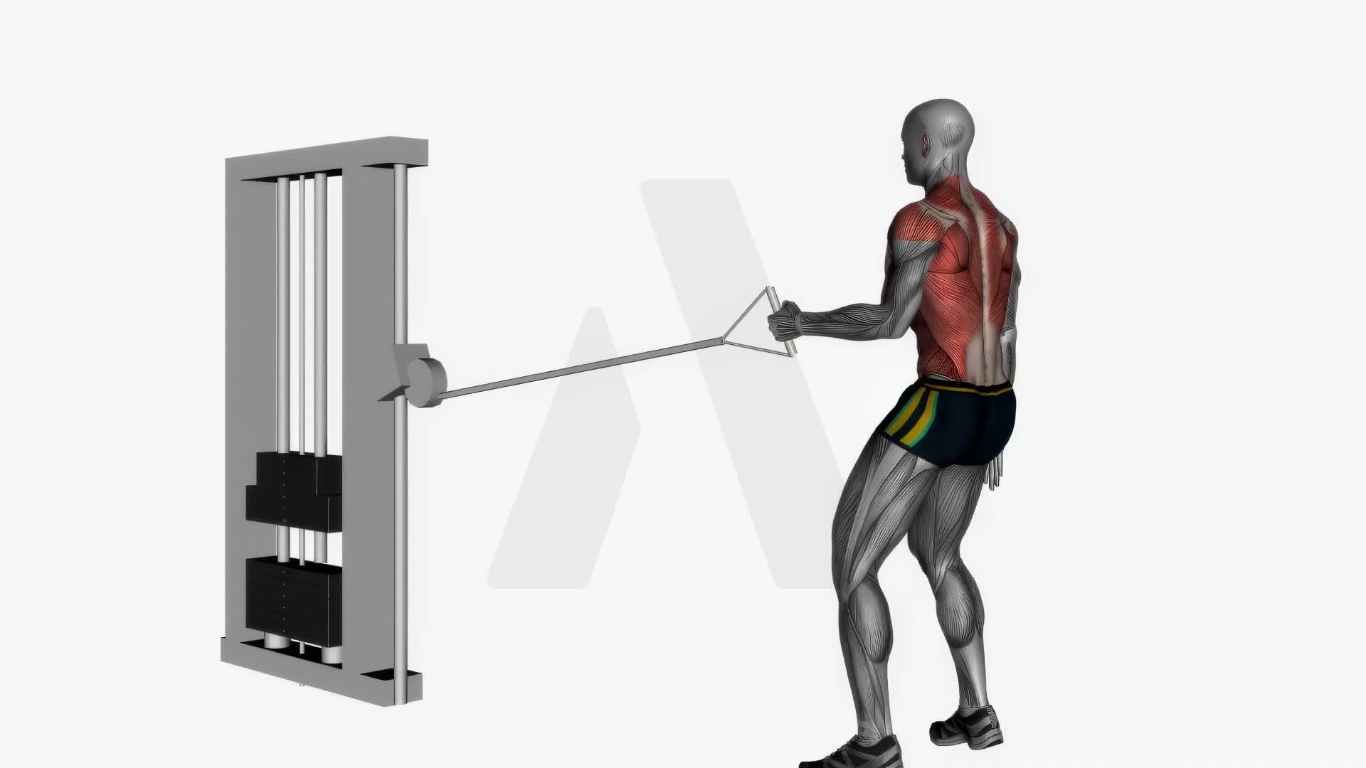 Single Arm Cable Row Left exercise demonstration
