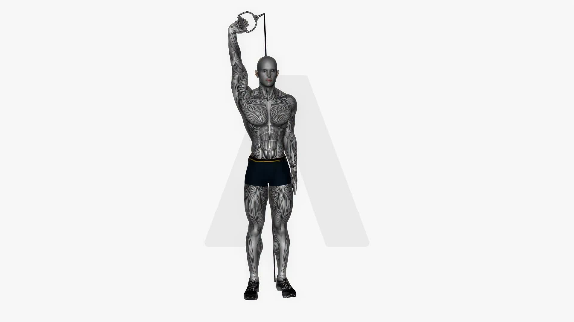 Single Arm Overhead Extension Resistance Band exercise demonstration