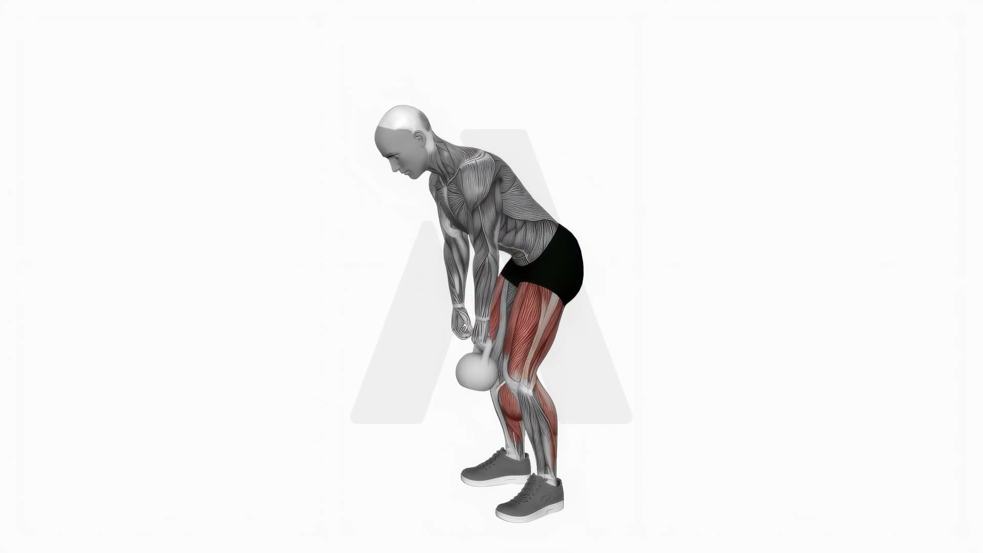Single Kettlebell Deadlift exercise demonstration