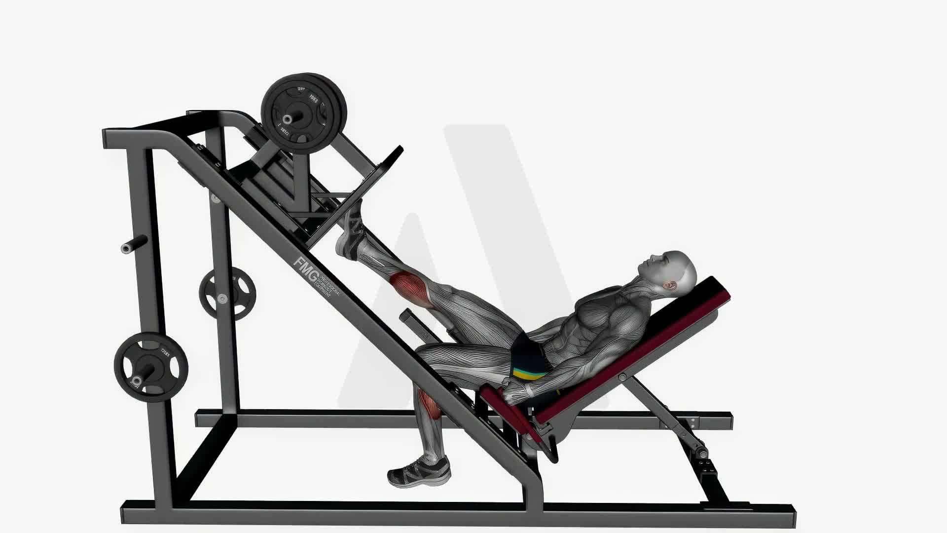 Single Leg Calf Raise Leg Press Machine exercise demonstration