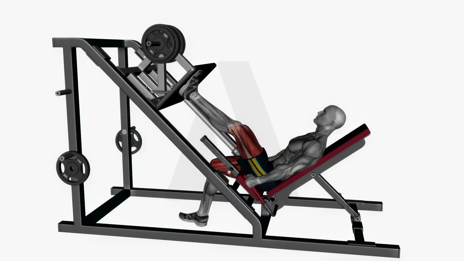 Single Leg Incline 45 Degree Leg Press Machine exercise demonstration