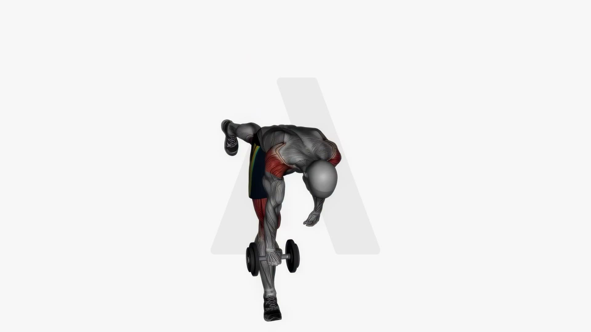 Single Leg Romanian Deadlift exercise demonstration