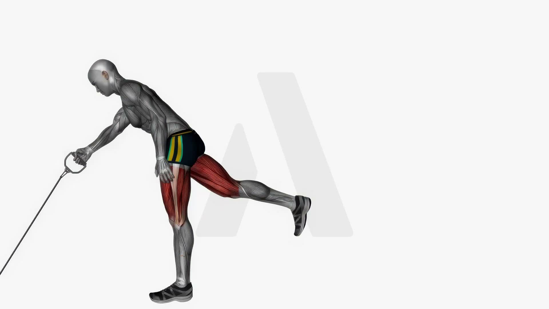 Single Leg Romanian Deadlifts Right Cable Resistance Band exercise demonstration