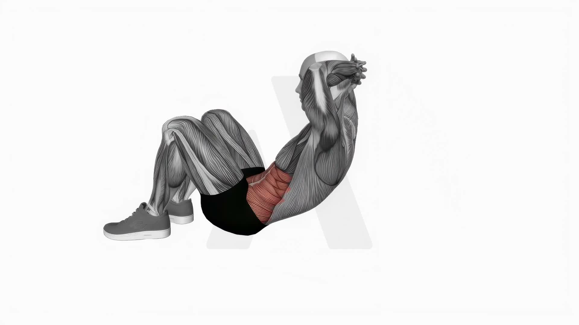 Situps exercise demonstration