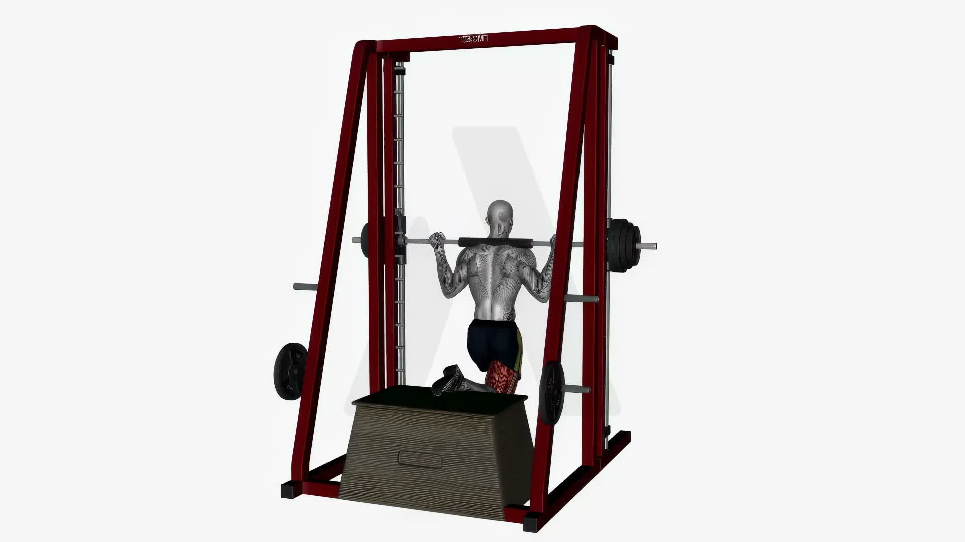 Smith Machine Bulgarian Split Squat exercise demonstration