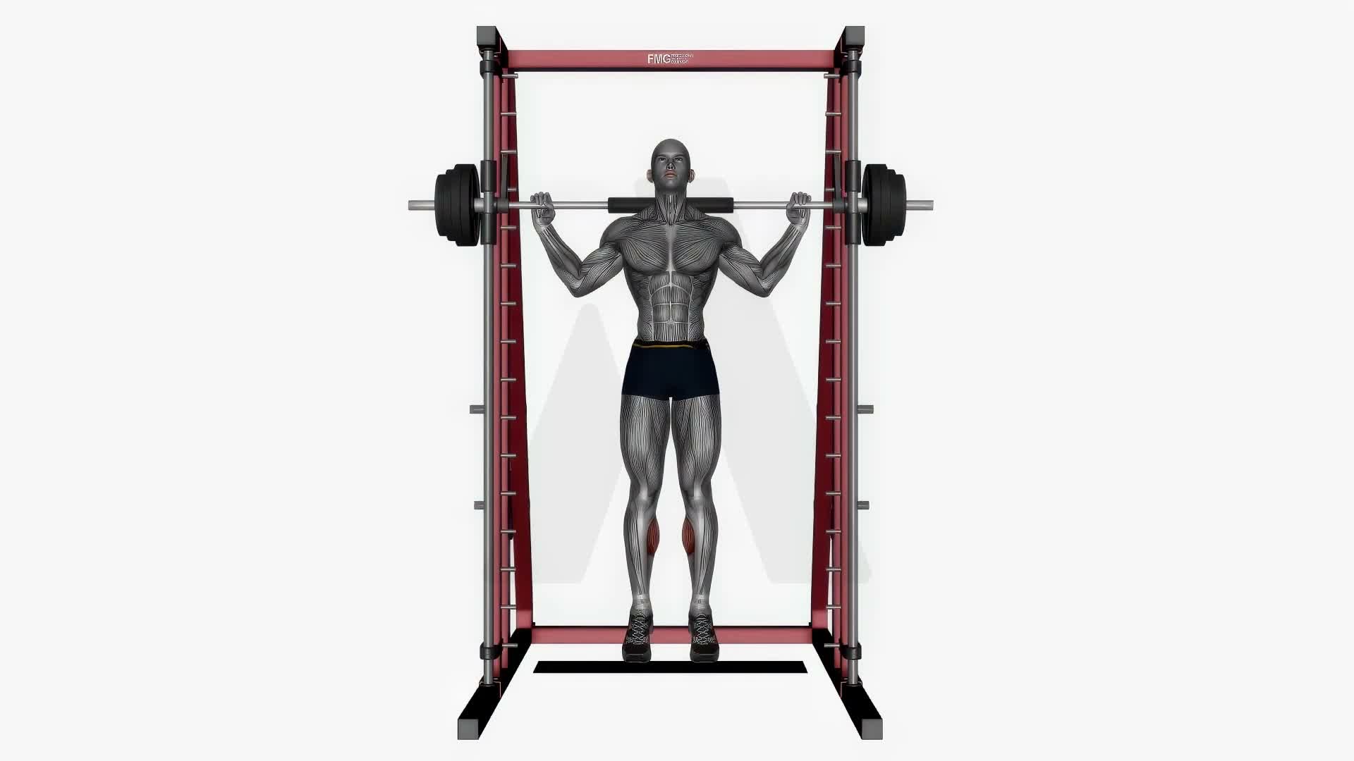 Smith Machine Calf Raise exercise demonstration