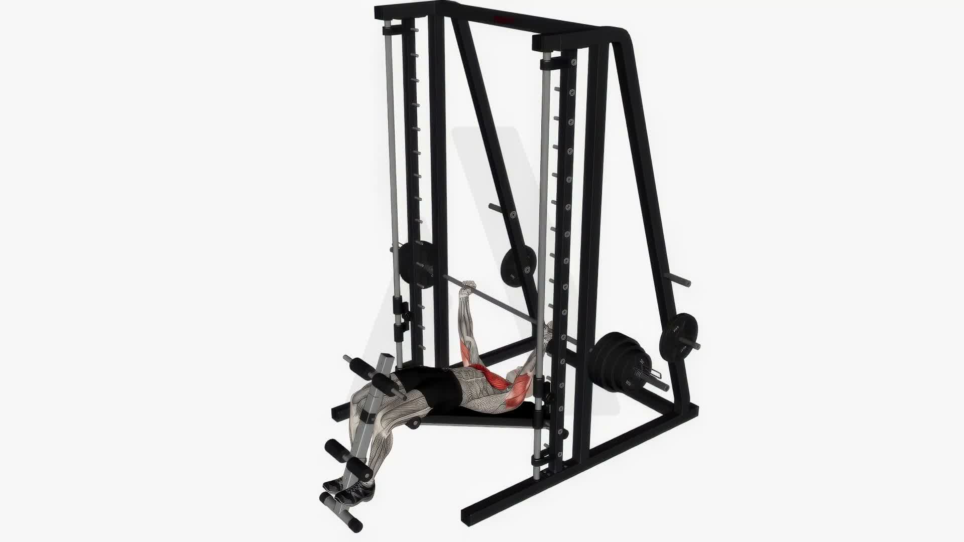 Smith Machine Press Decline exercise demonstration