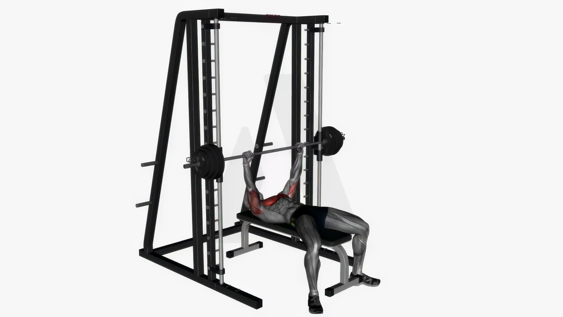 Smith Machine Press Flat exercise demonstration