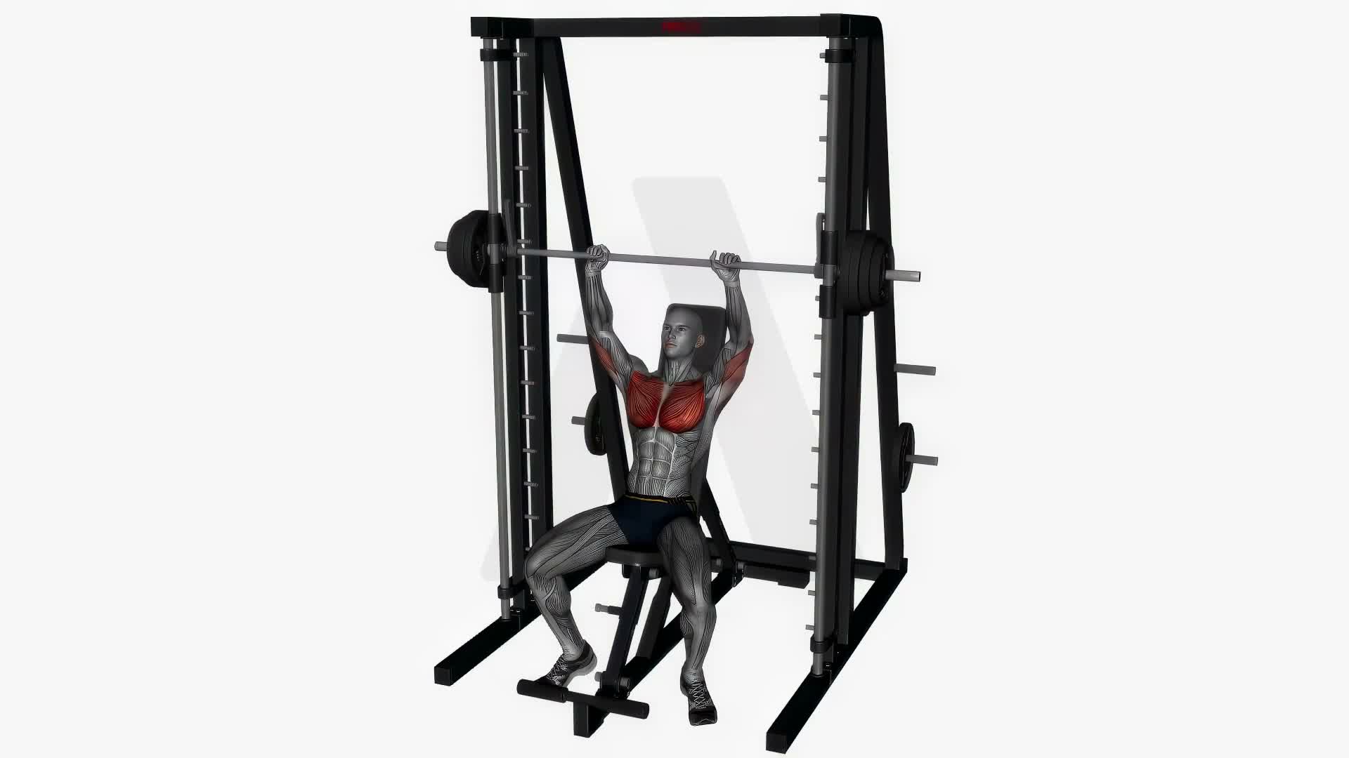 Smith Machine Press Incline exercise demonstration