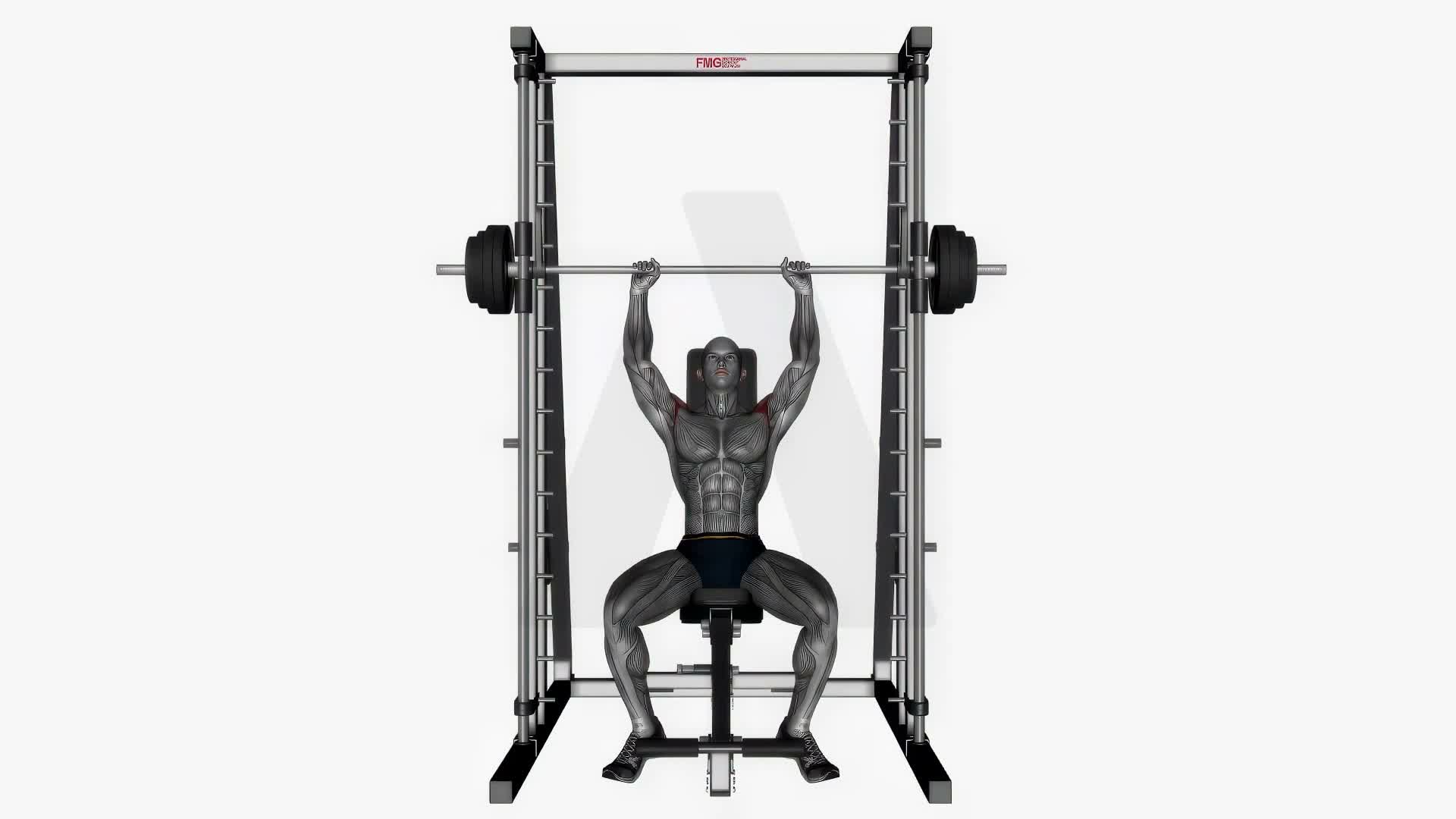Smith Machine Shoulder Press exercise demonstration