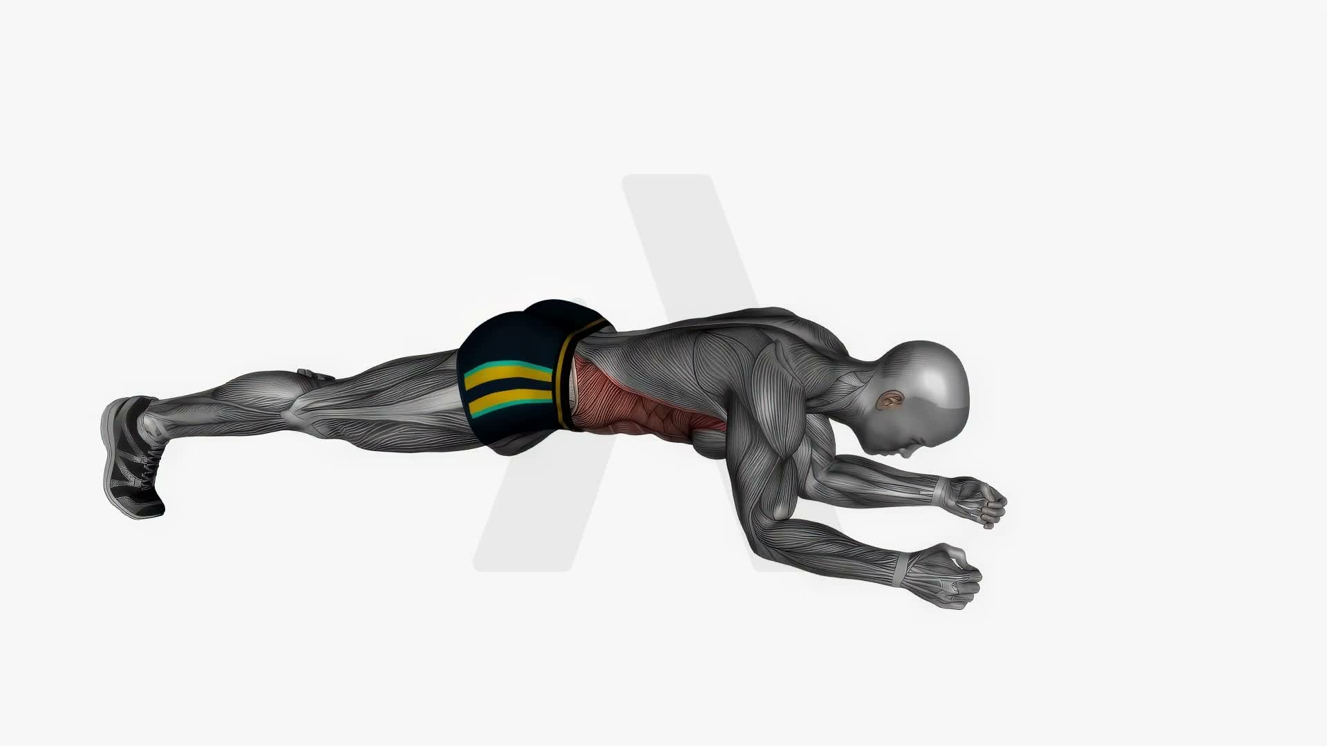 Spider Plank exercise demonstration