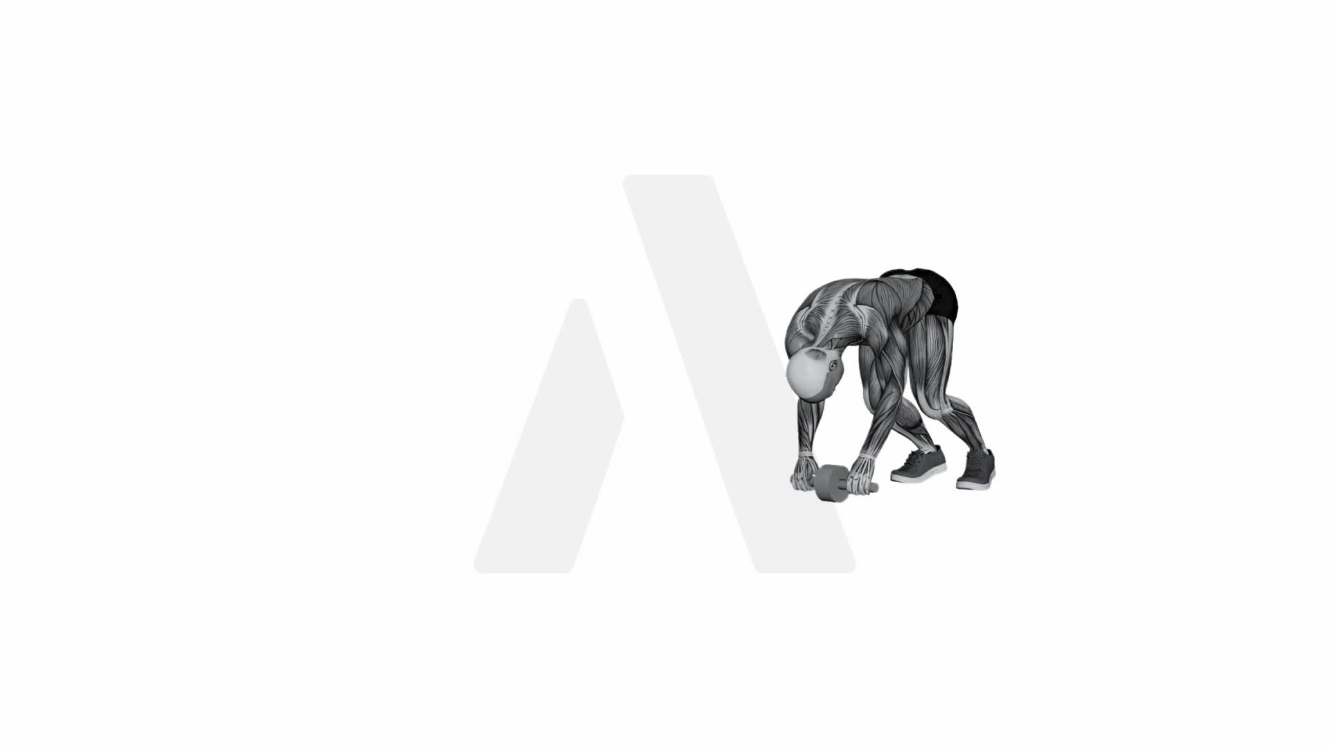 Standing Ab Wheel Rollout exercise demonstration