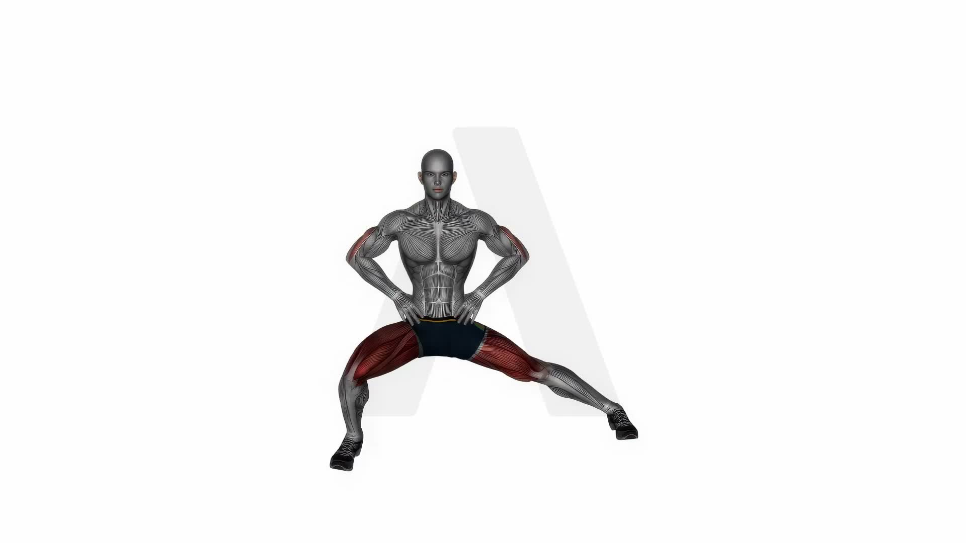 Standing Adductor Stretch exercise demonstration