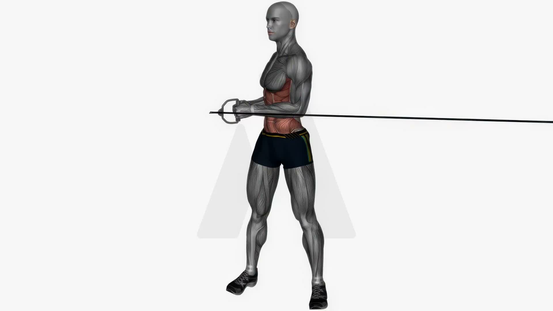 Standing Cable Oblique Twist exercise demonstration