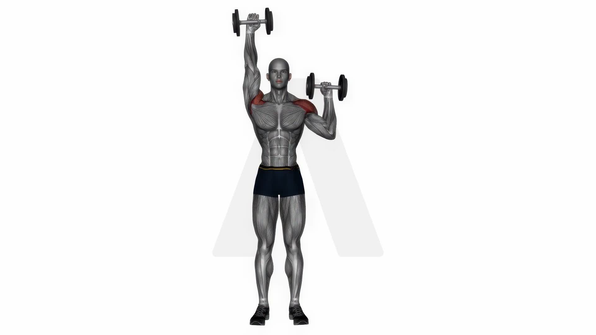 Standing Dumbbell Alternate Shoulder Press exercise demonstration