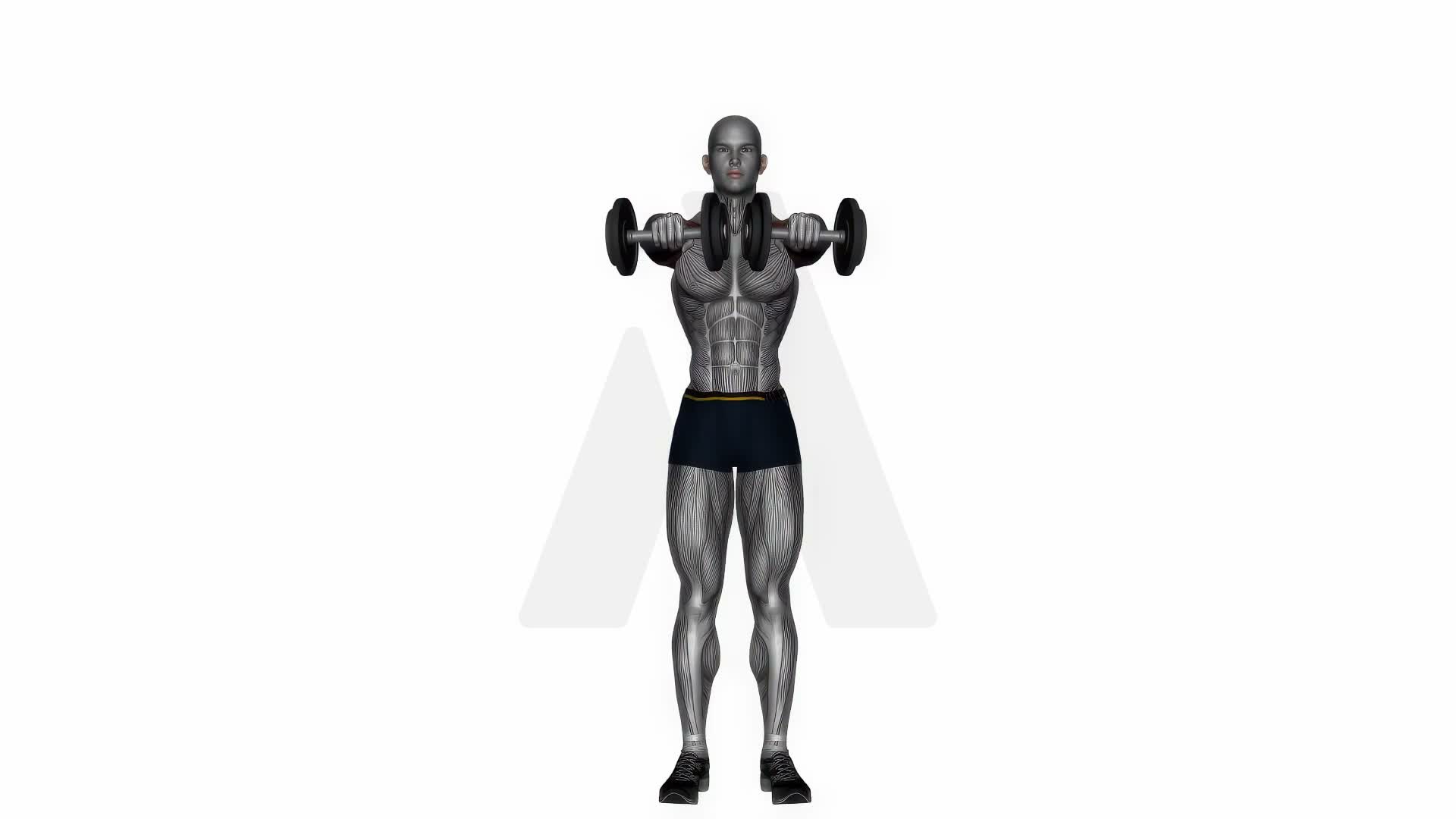 Standing Front Raise Dumbbell exercise demonstration