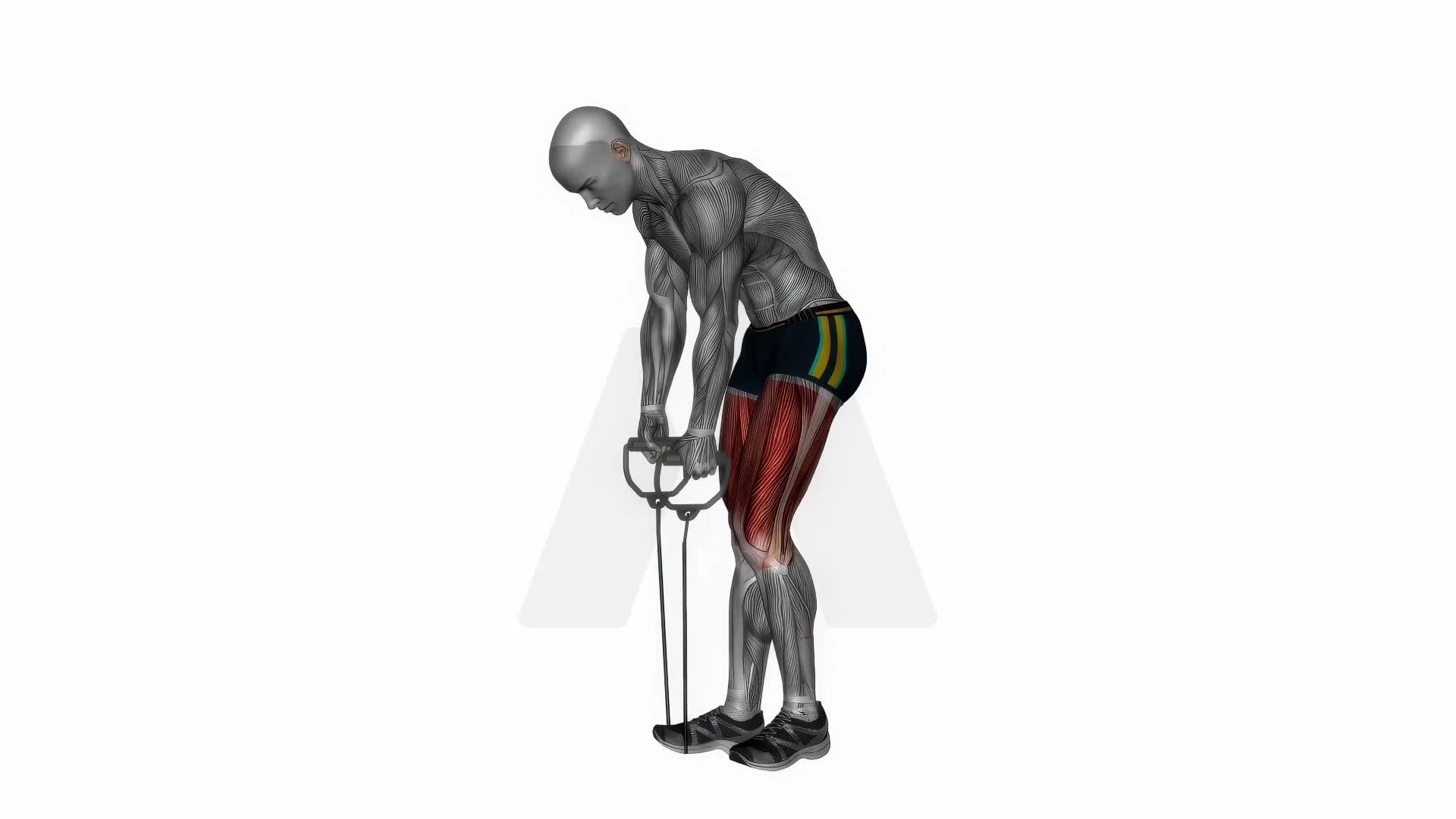 Standing Hamstring Calf Stretch With Resistance Band exercise demonstration