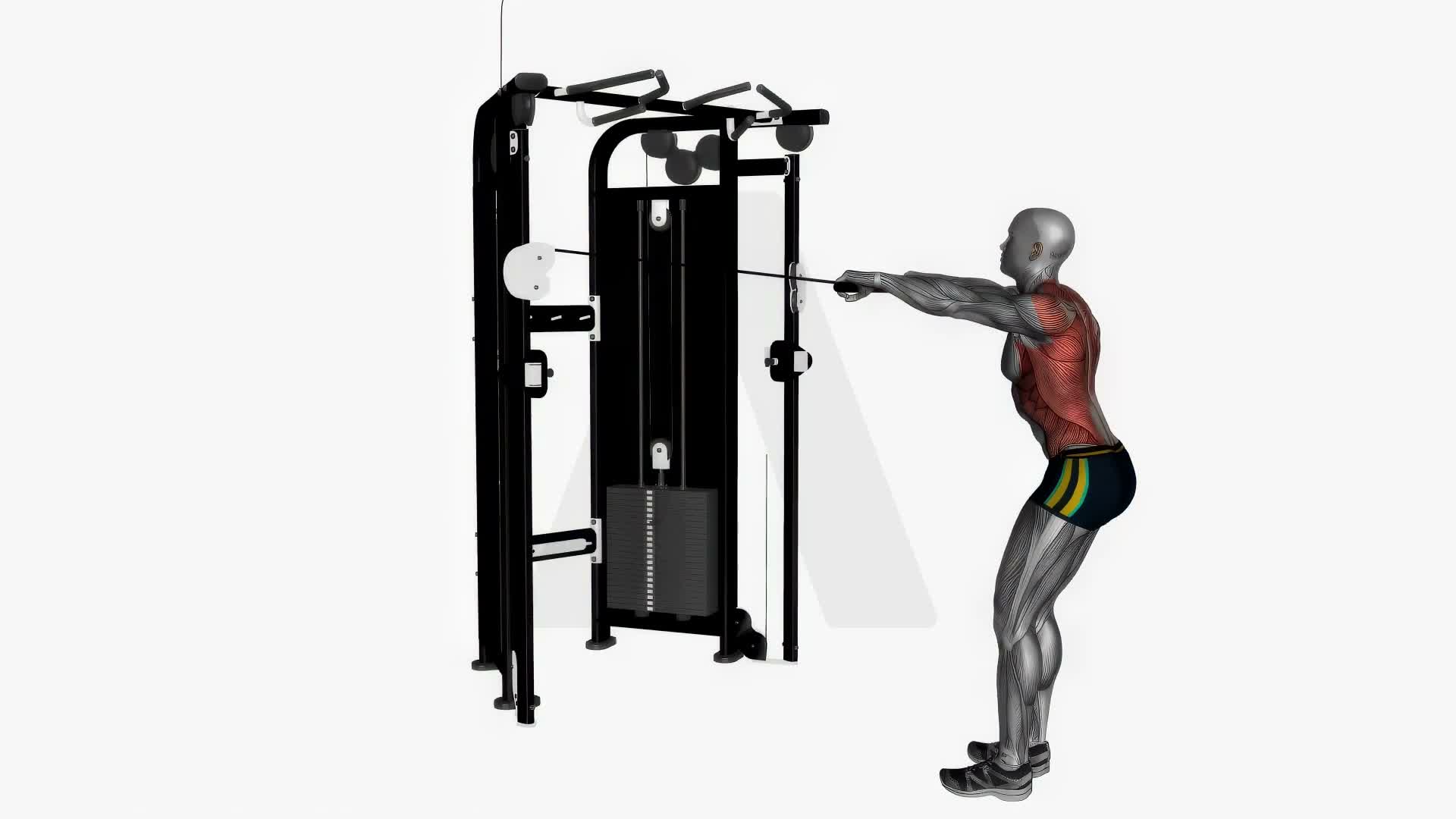 Standing Lat Cable Pull Over exercise demonstration