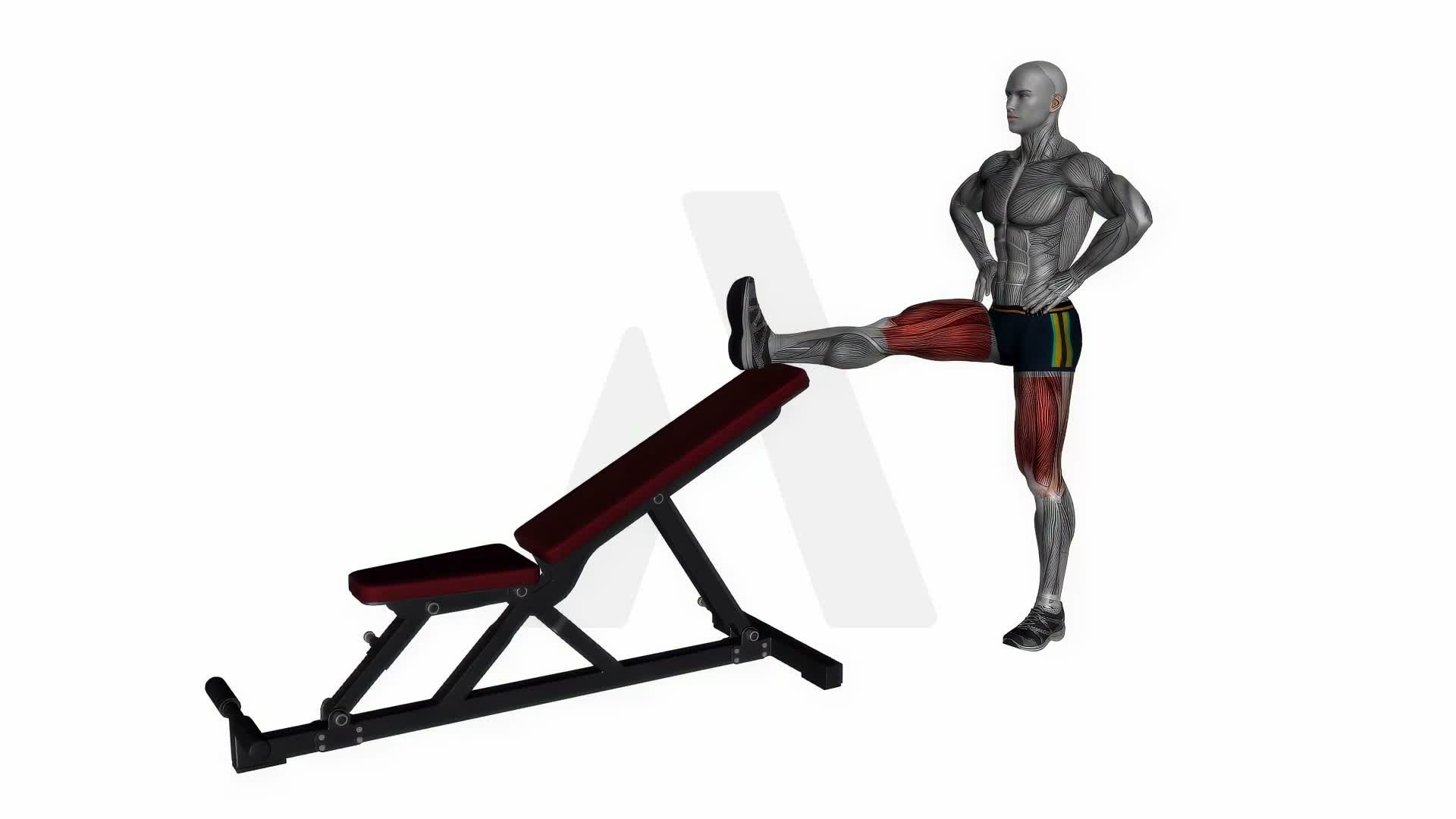 Standing Leg Elevated Hamstring Stretch exercise demonstration