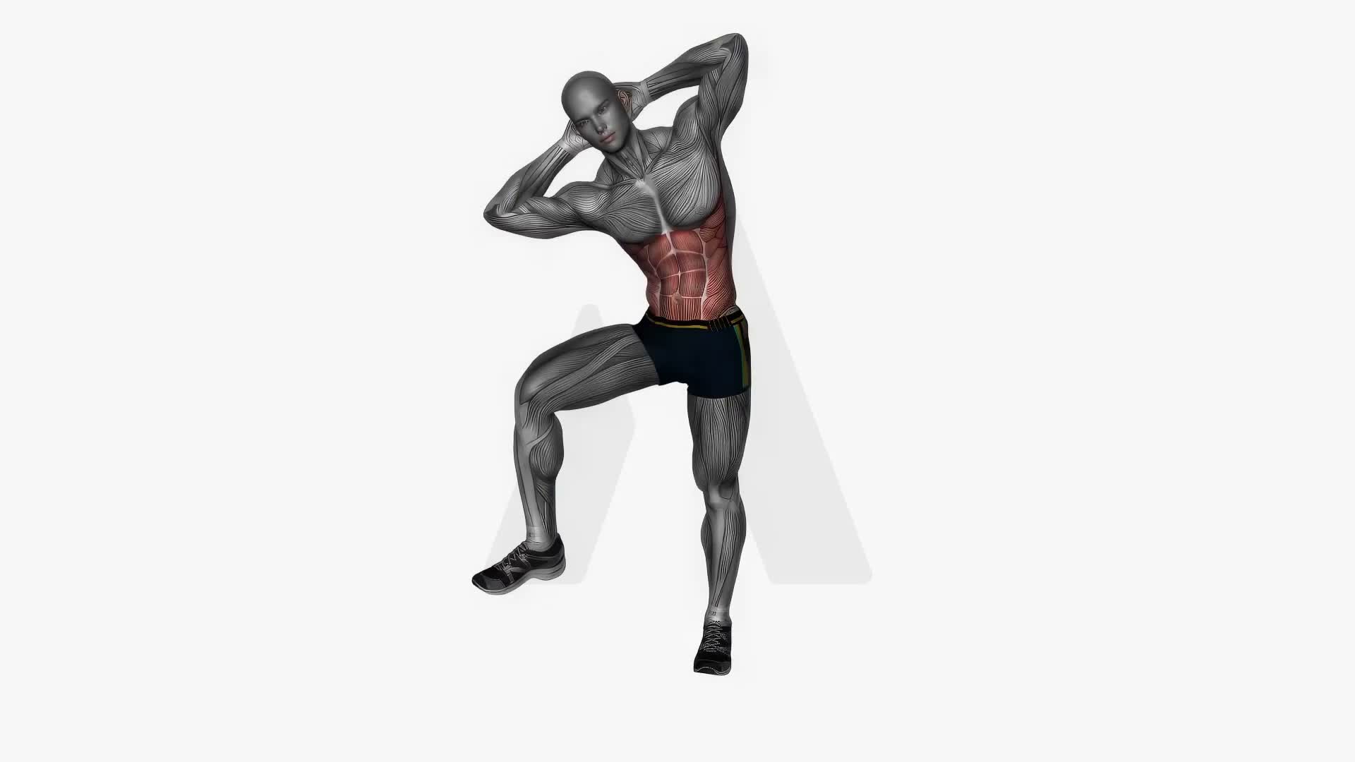 Standing Oblique Crunch exercise demonstration