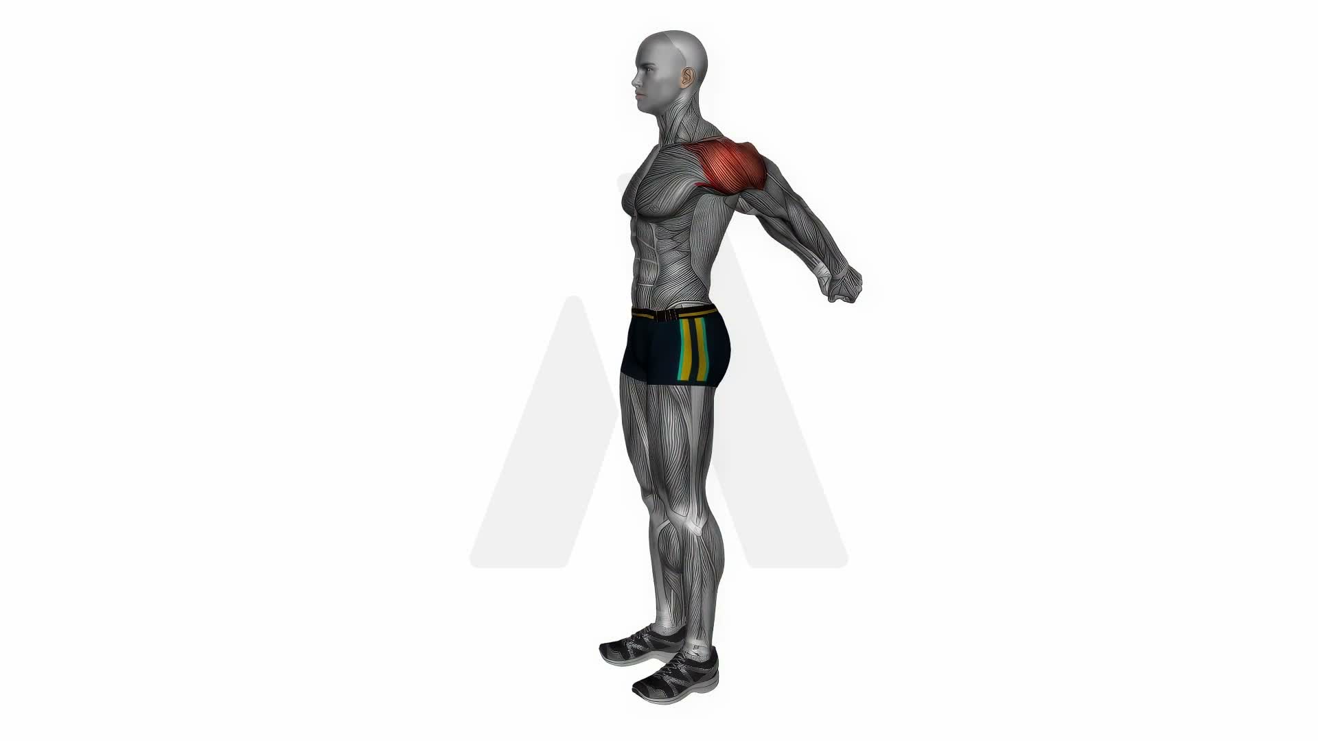 Standing Reverse Shoulder Stretch exercise demonstration