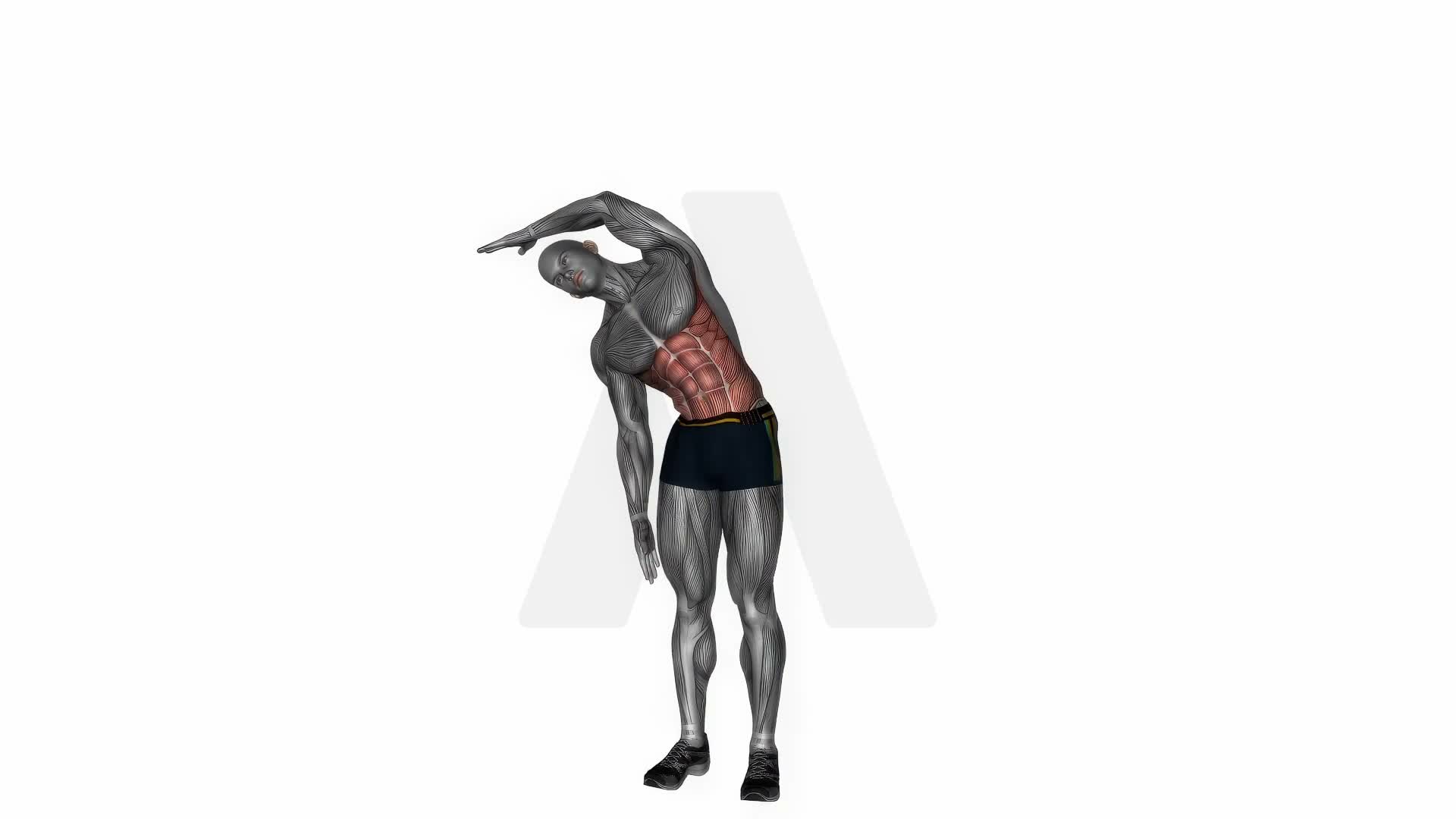 Standing Side Slope Stretch exercise demonstration