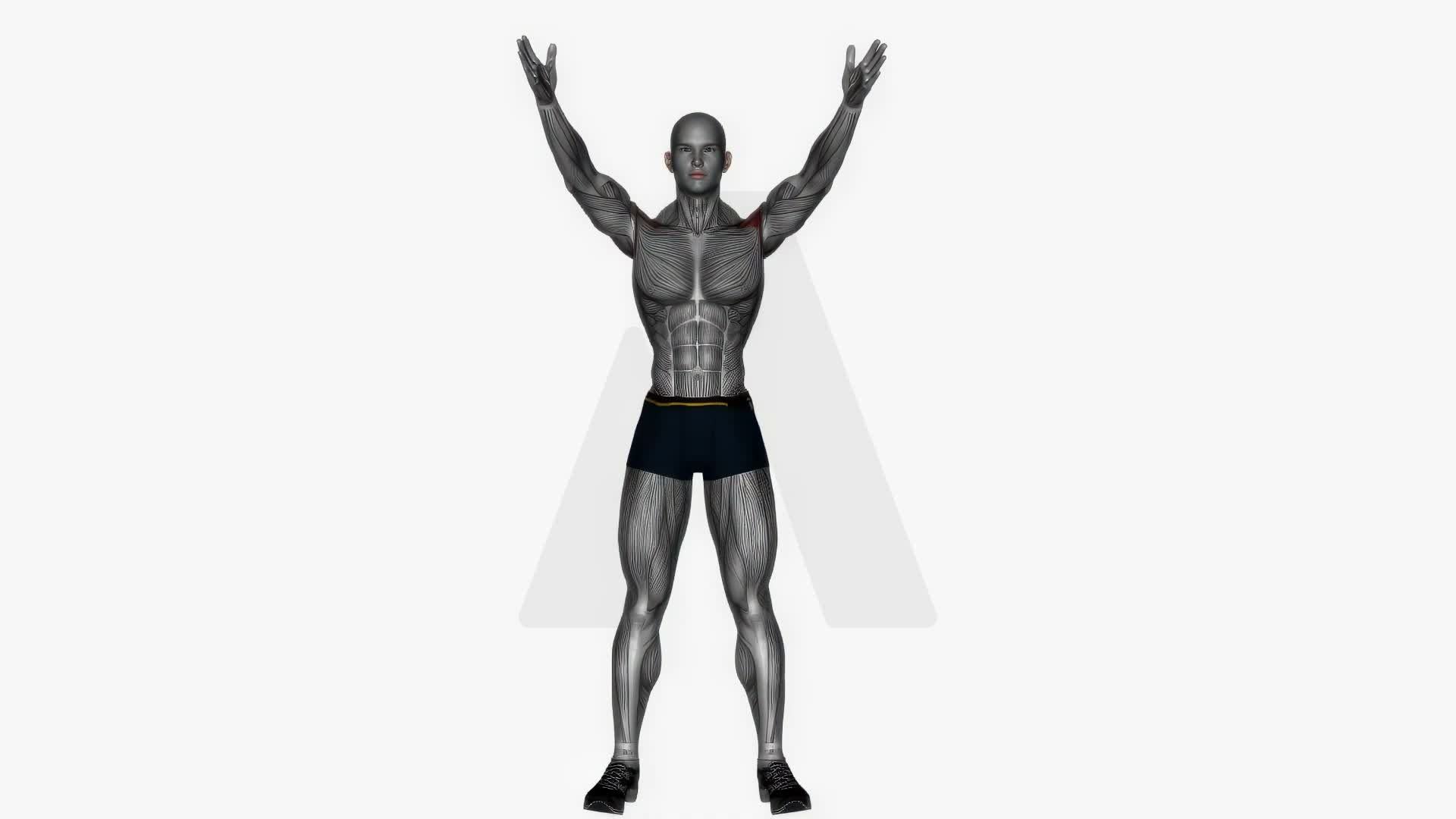 Standing Y Raise exercise demonstration