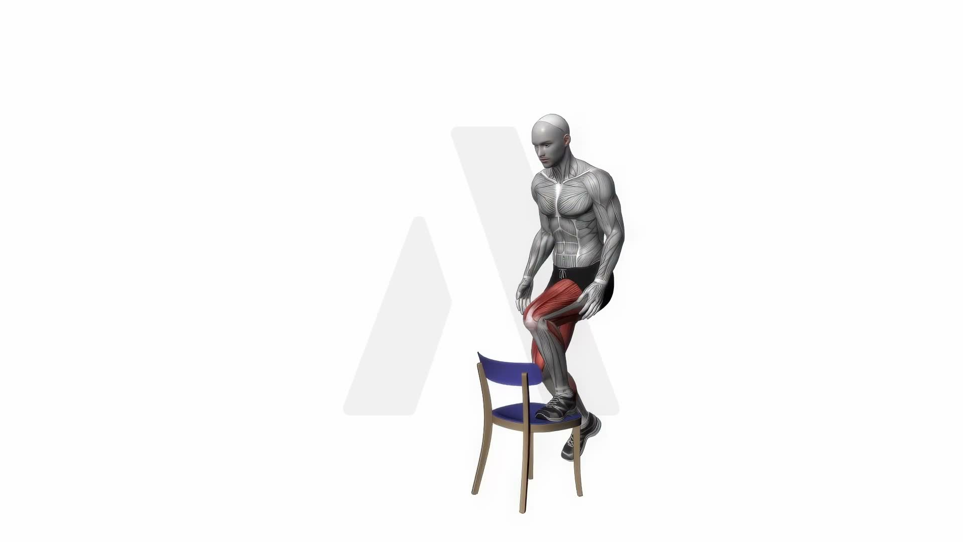 Step Up On Chair Bodyweight exercise demonstration