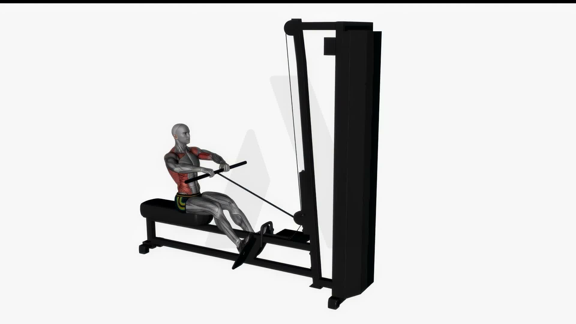Straight Bar Cable Row Close Grip exercise demonstration