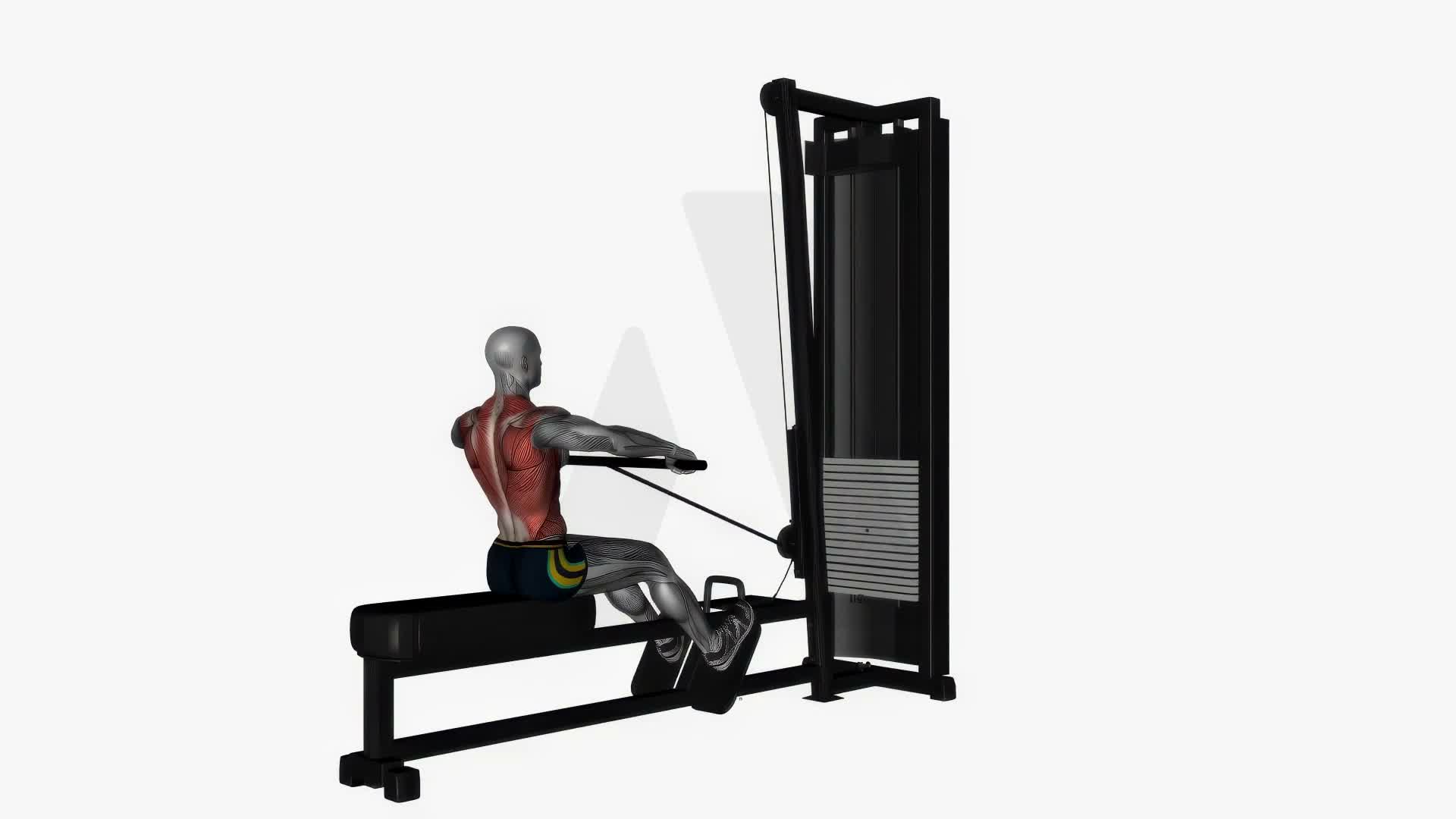 Straight Bar Cable Row Normal Grip exercise demonstration