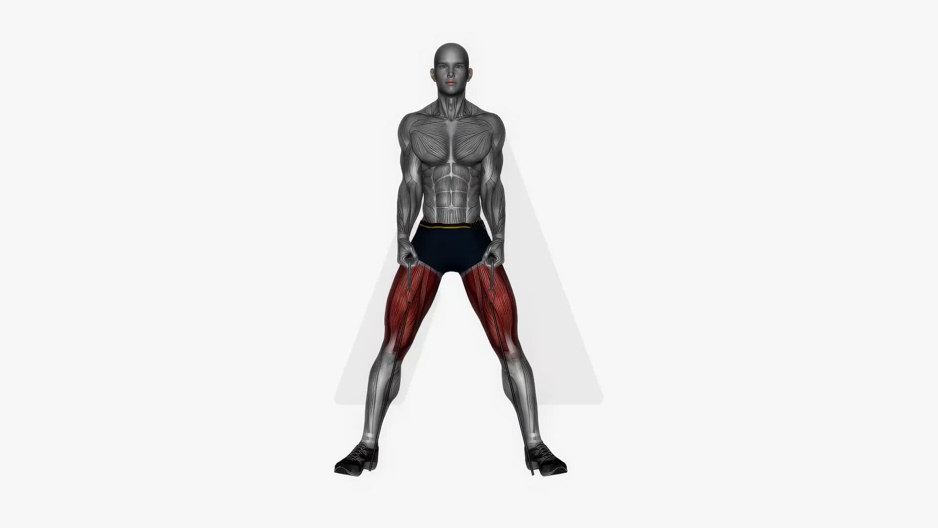Sumo Squat In Between Legs Resistance Band exercise demonstration