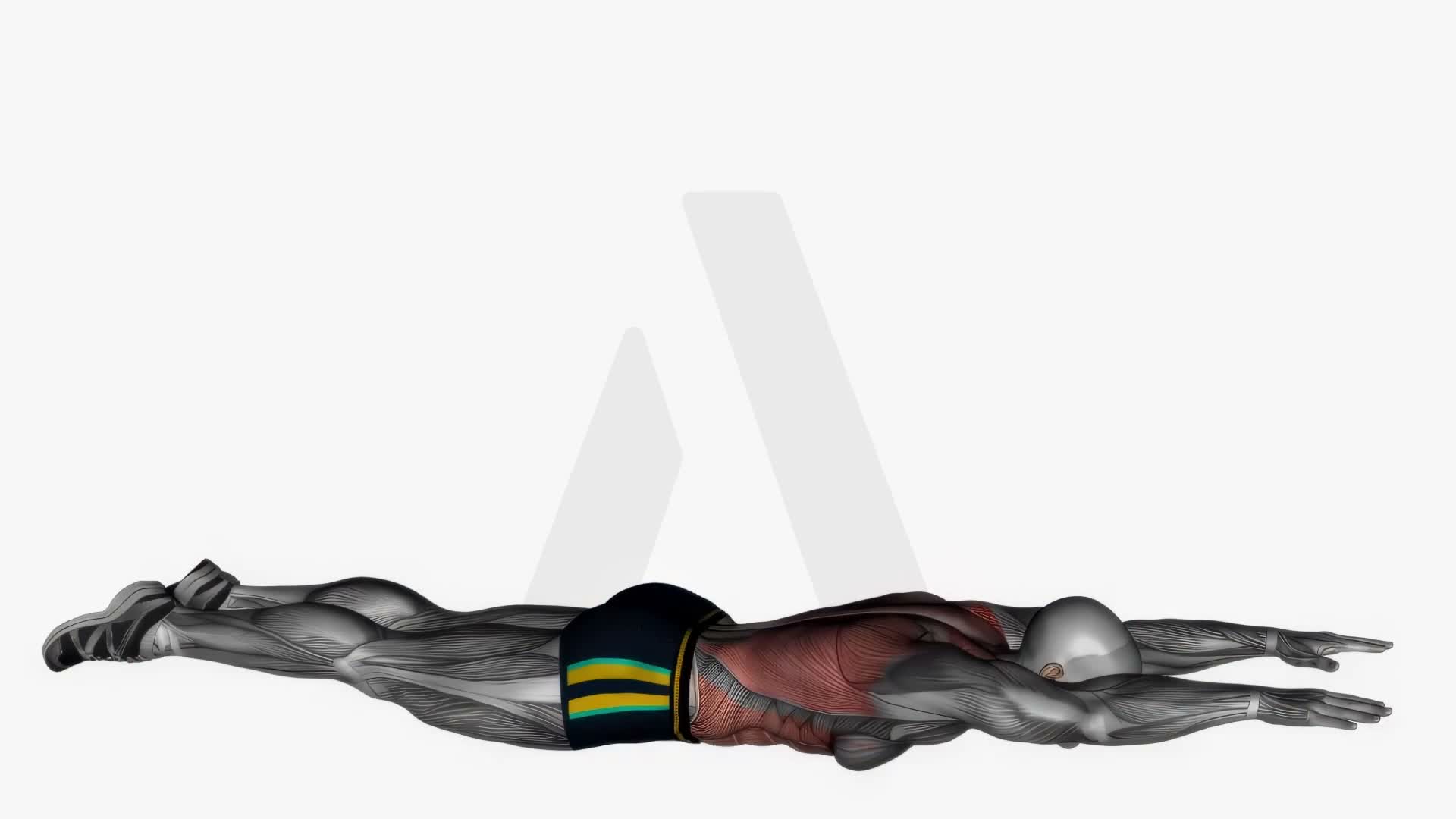 Superman exercise demonstration