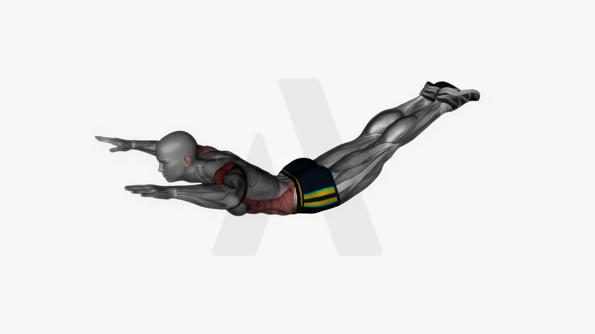 Superman Pulls exercise demonstration