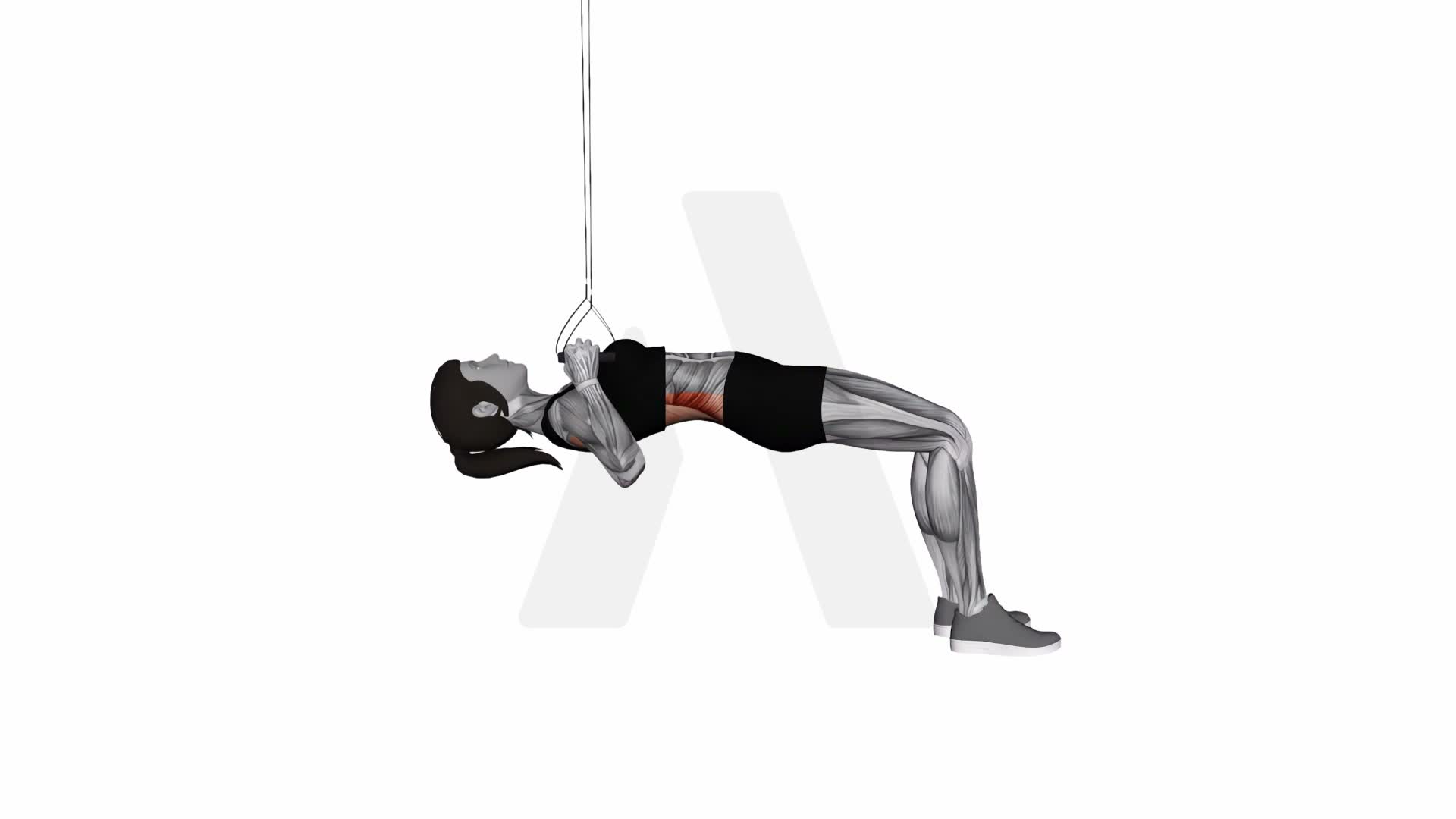 Suspension Trainer With Grips Bent Knee Inverted Row exercise demonstration
